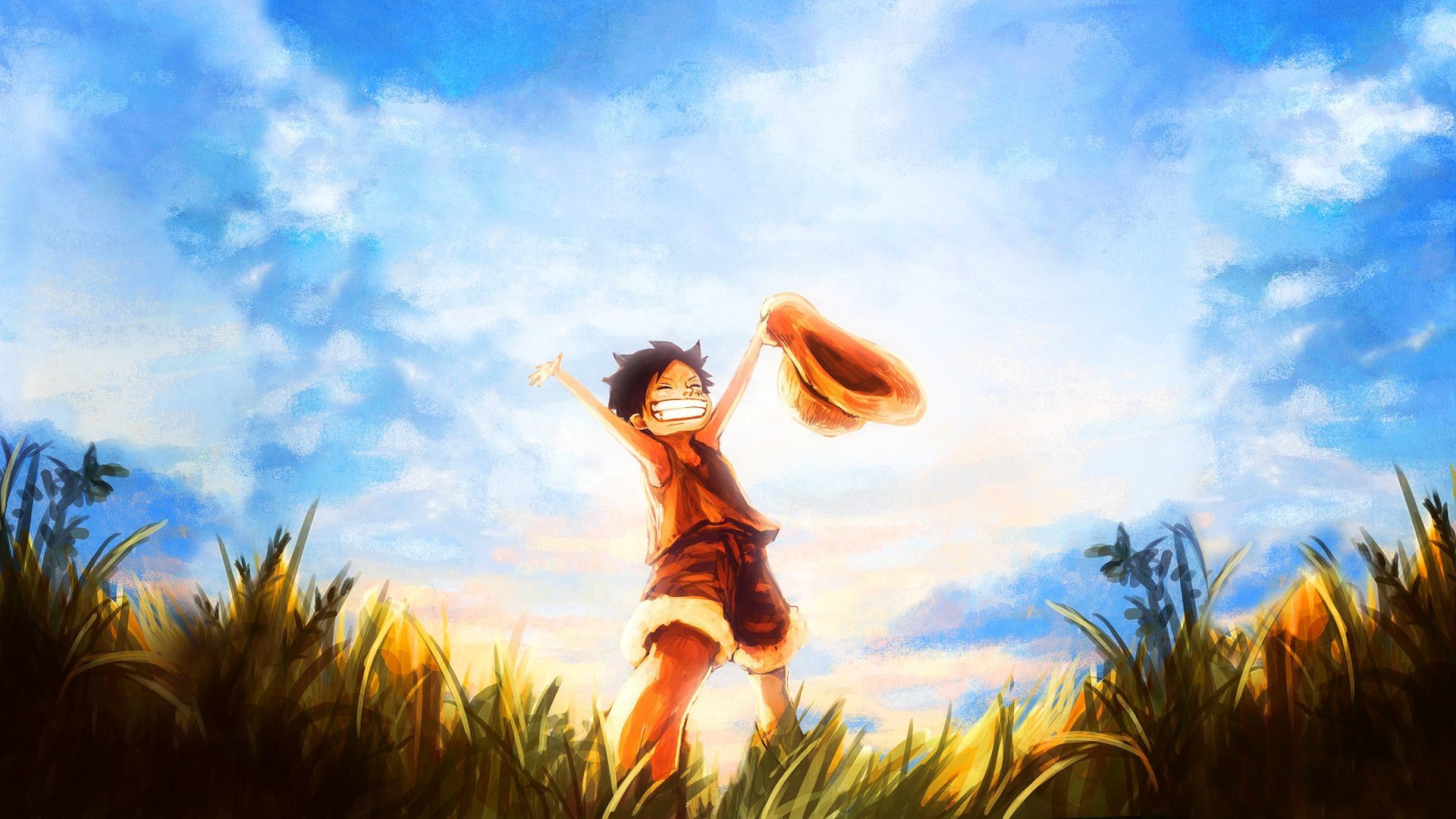 Monkey D. Luffy, One Piece, Prato, Cielo, 1920x1080, sfondo per PC