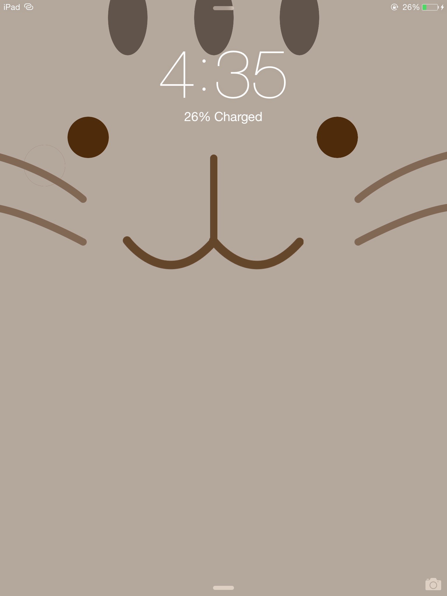 Pusheen, Muso, Schermata di blocco, Grigio, QHD+, sfondo per iPad e tablet