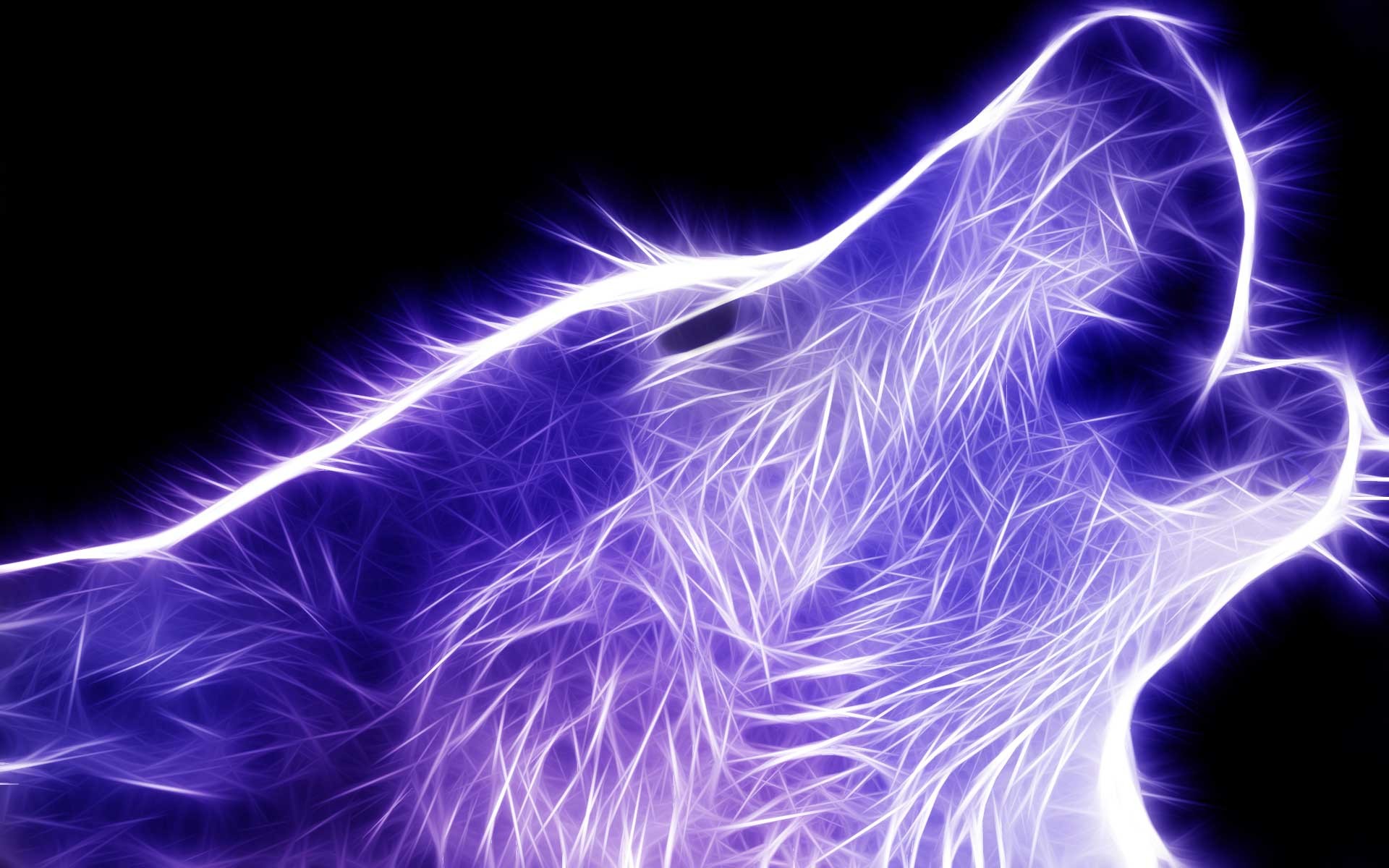 Lupo, Ululato, Fractal art, Viola, 1920x1200, immagine di sfondo