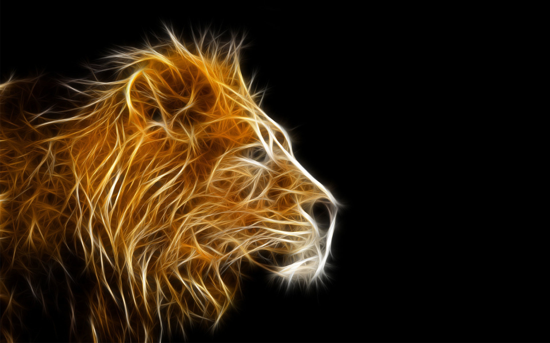 Leone, Arte frattale, Profilo, Sfondo nero, 1920x1200, wallpaper desktop