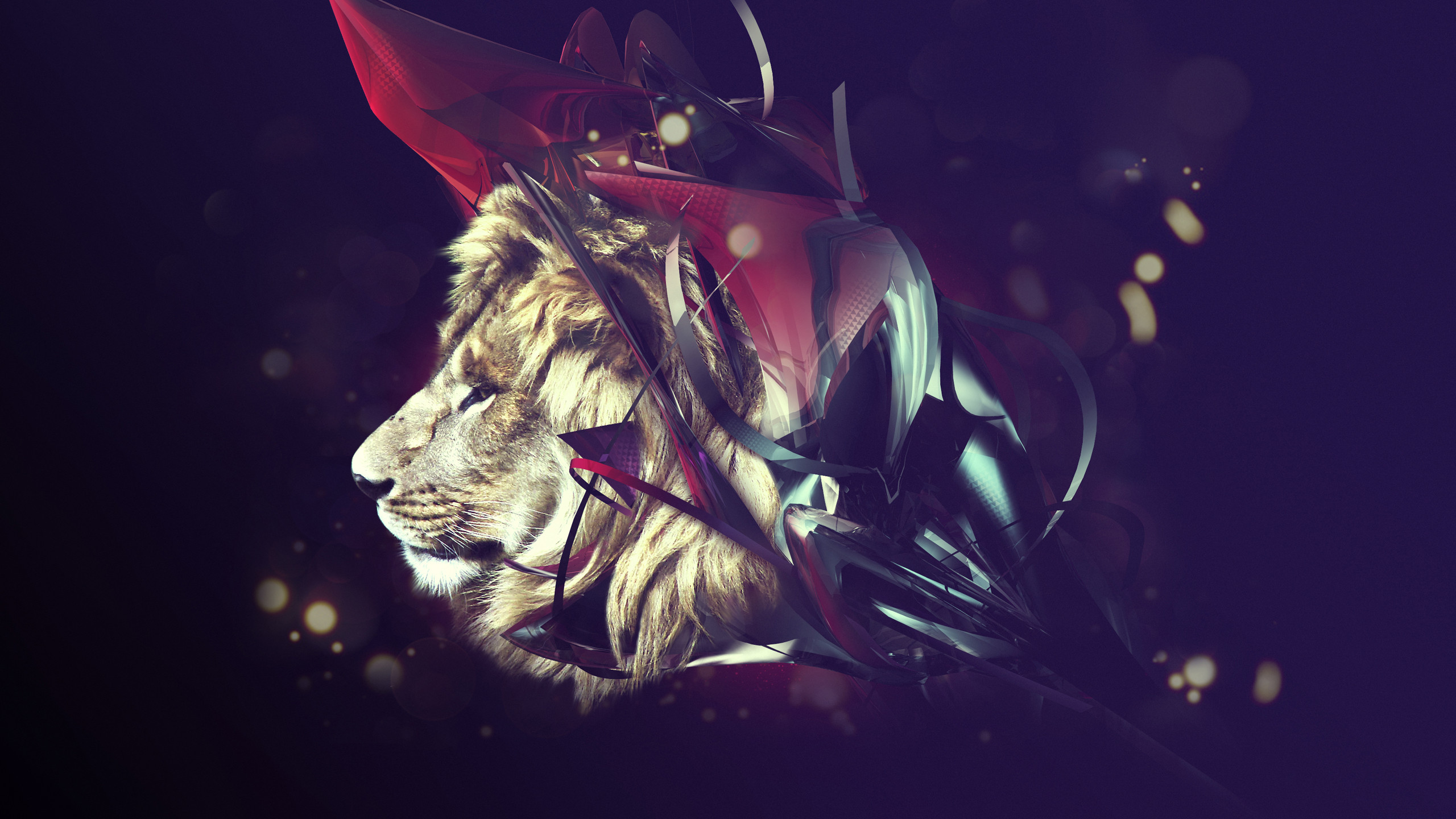 Leone, Arte astratta, Viola, Bokeh, 2560x1440, sfondo per PC