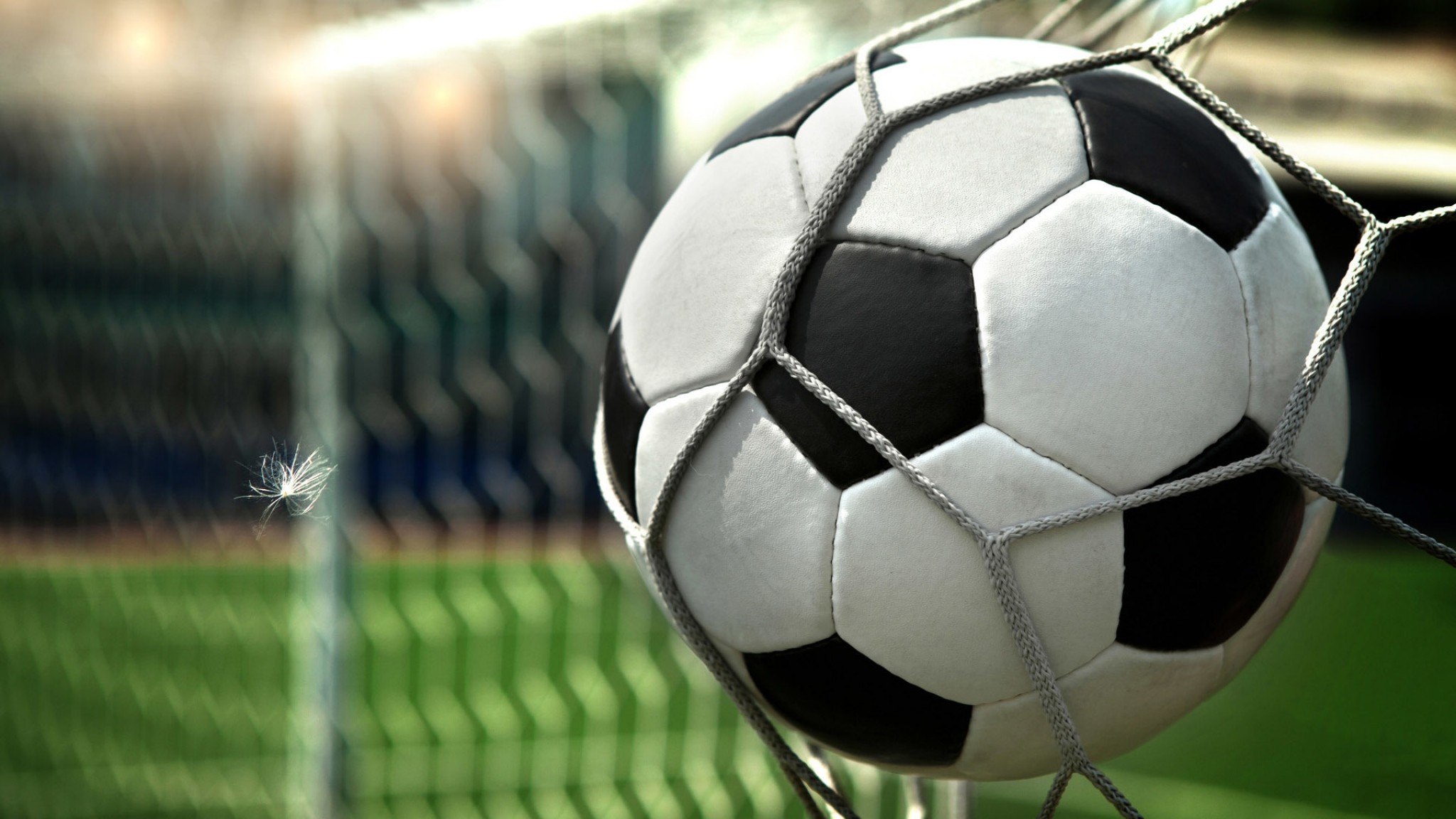 Pallone da calcio, Rete, Gol, Primo piano, Full HD, sfondo per PC