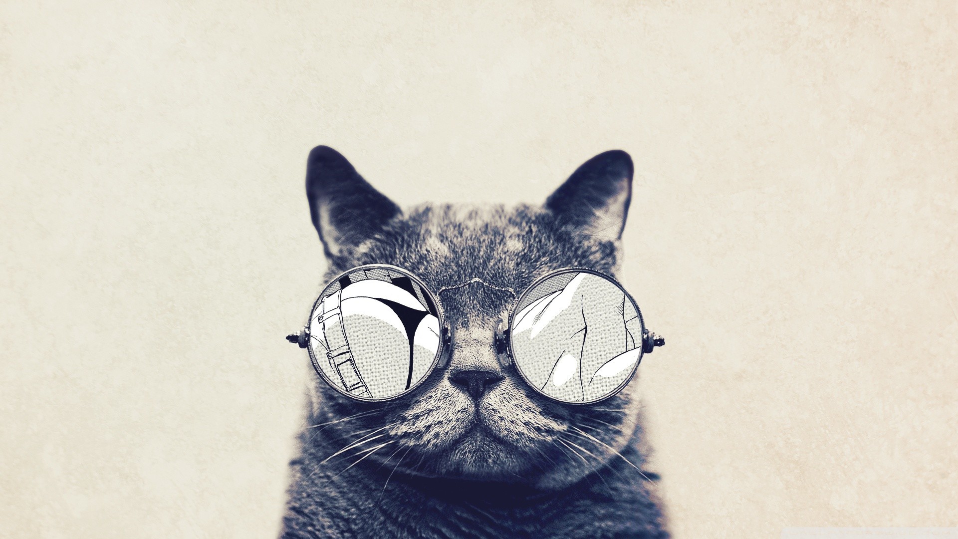 Gatto grigio, Occhiali, Illustrazione, Divertente, Minimalista, 16:9 Full HD, wallpaper widescreen