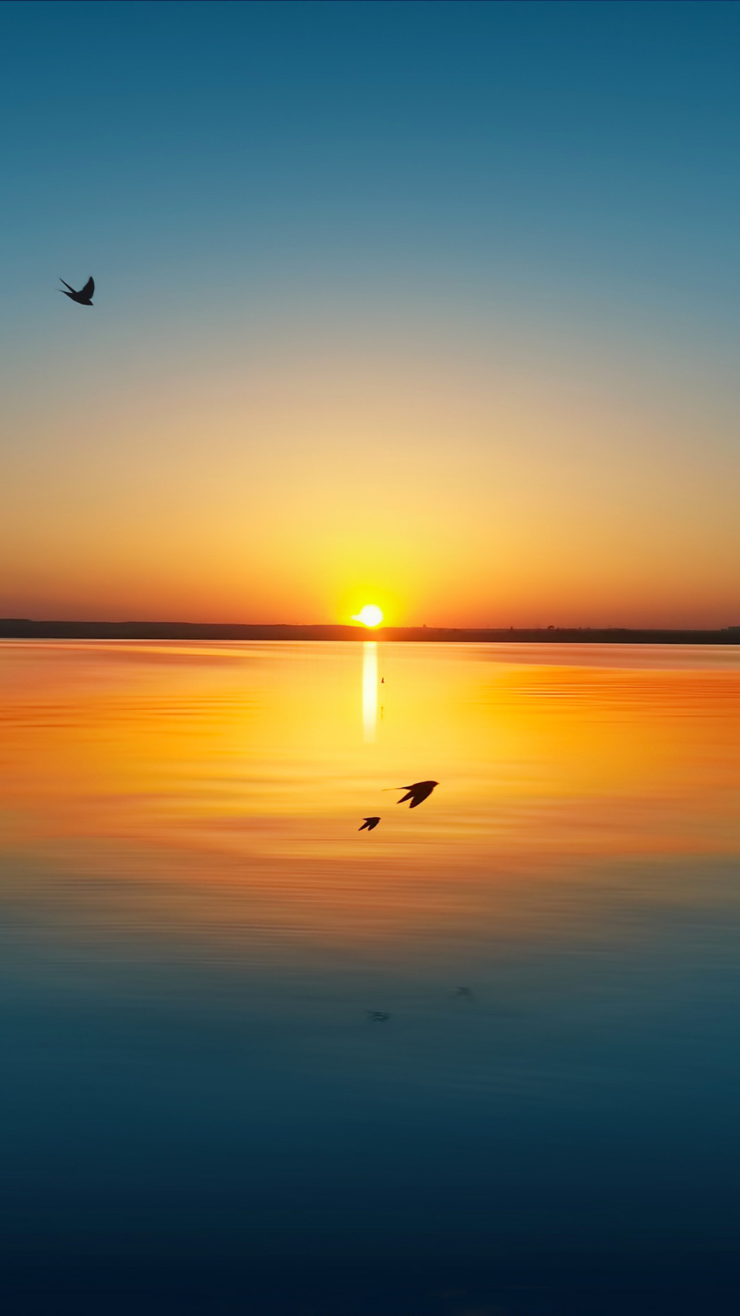 Tramonto, Mare, Uccelli, Sole, wallpaper per iPhone e Android