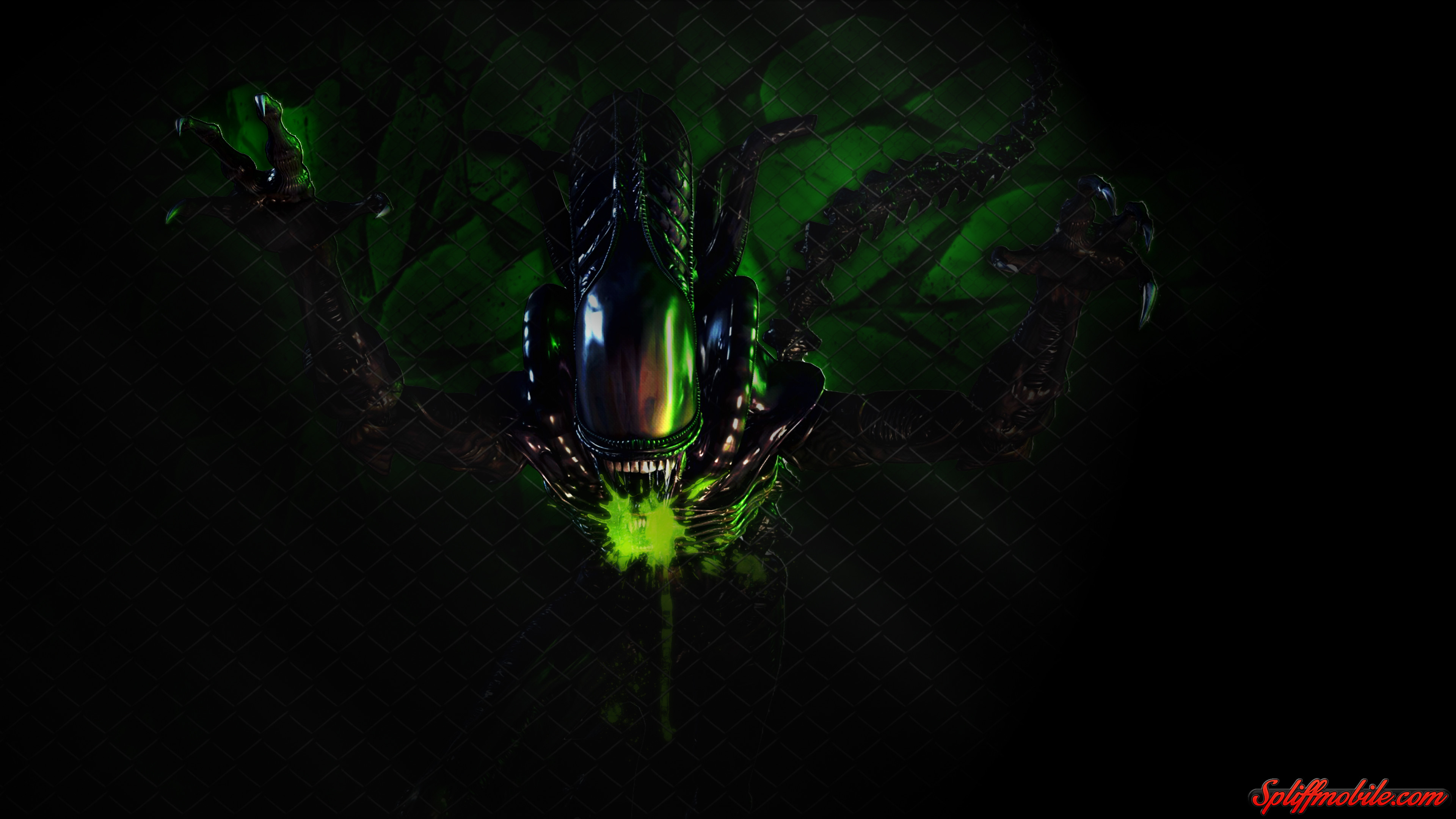 Xenomorfo, Alien, Verde, Sfondo scuro, 4K, wallpaper desktop