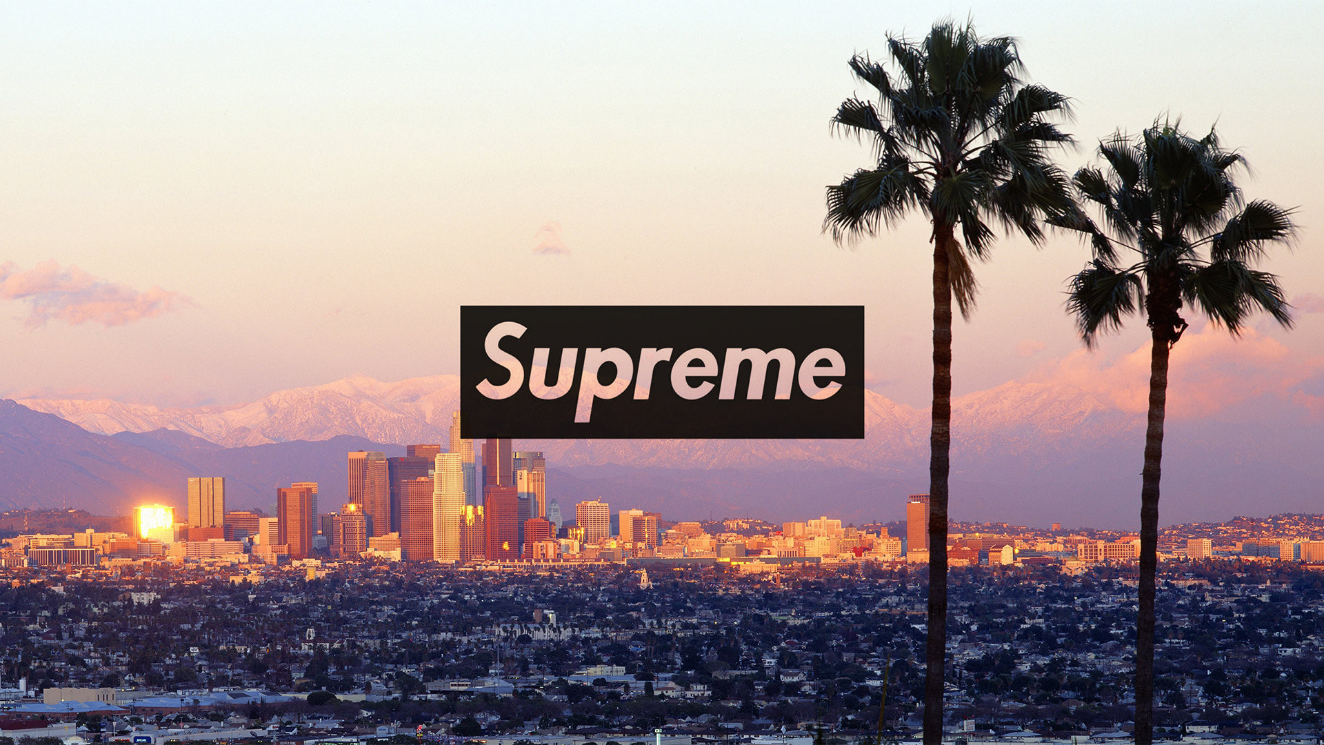 Logo Supreme, Los Angeles, Palme, Tramonto, 16:9 Full HD, sfondo widescreen