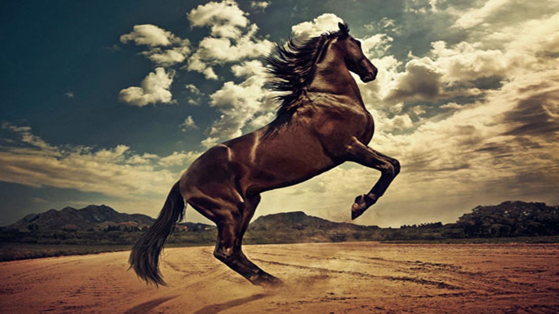Cavallo baio, Impennata, Nuvole, Vintage, Full HD, sfondo per PC
