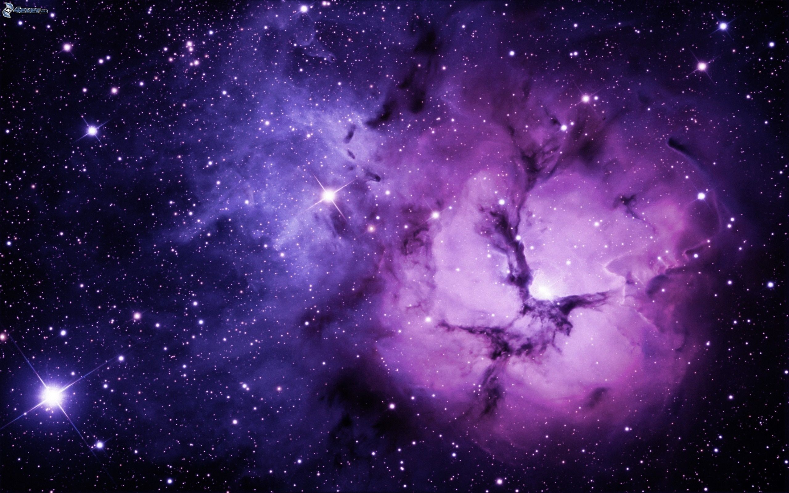 Nebulosa Trifida, Nebulosa viola, Stelle, Spazio profondo, 2560x1600, immagine di sfondo