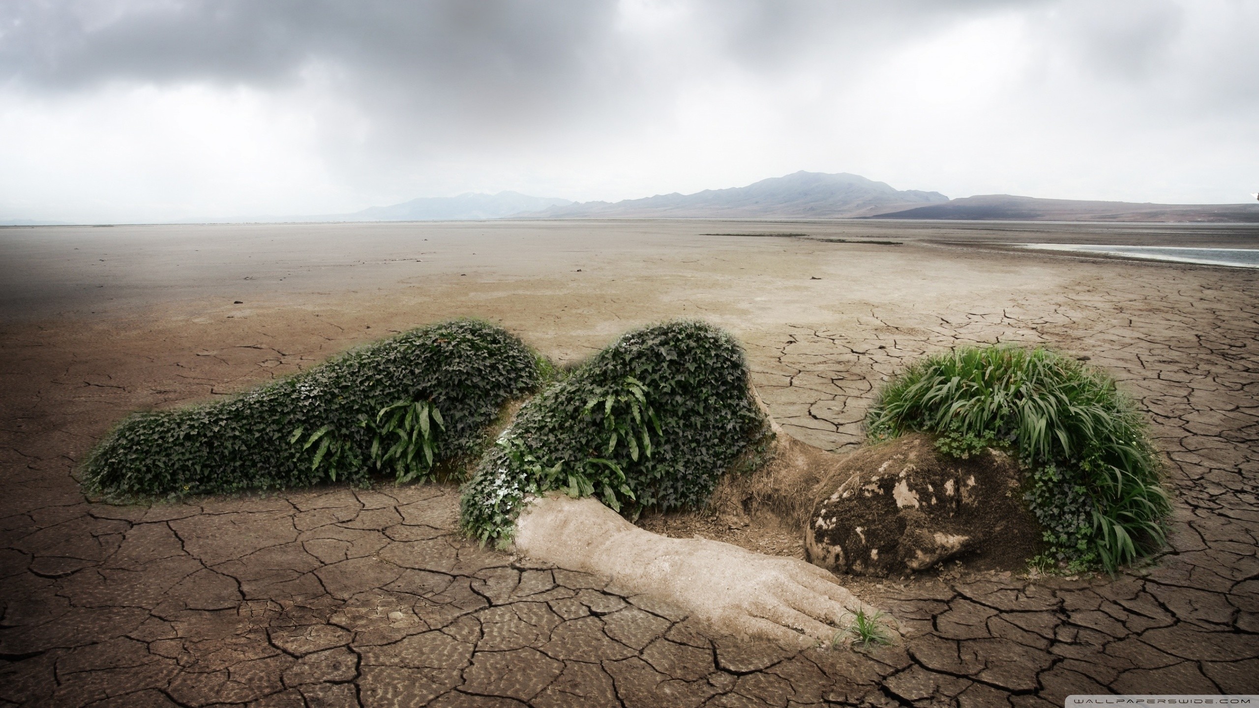 Terra screpolata, Erba, Surrealismo, Deserto, 2K, sfondo per PC e portatile