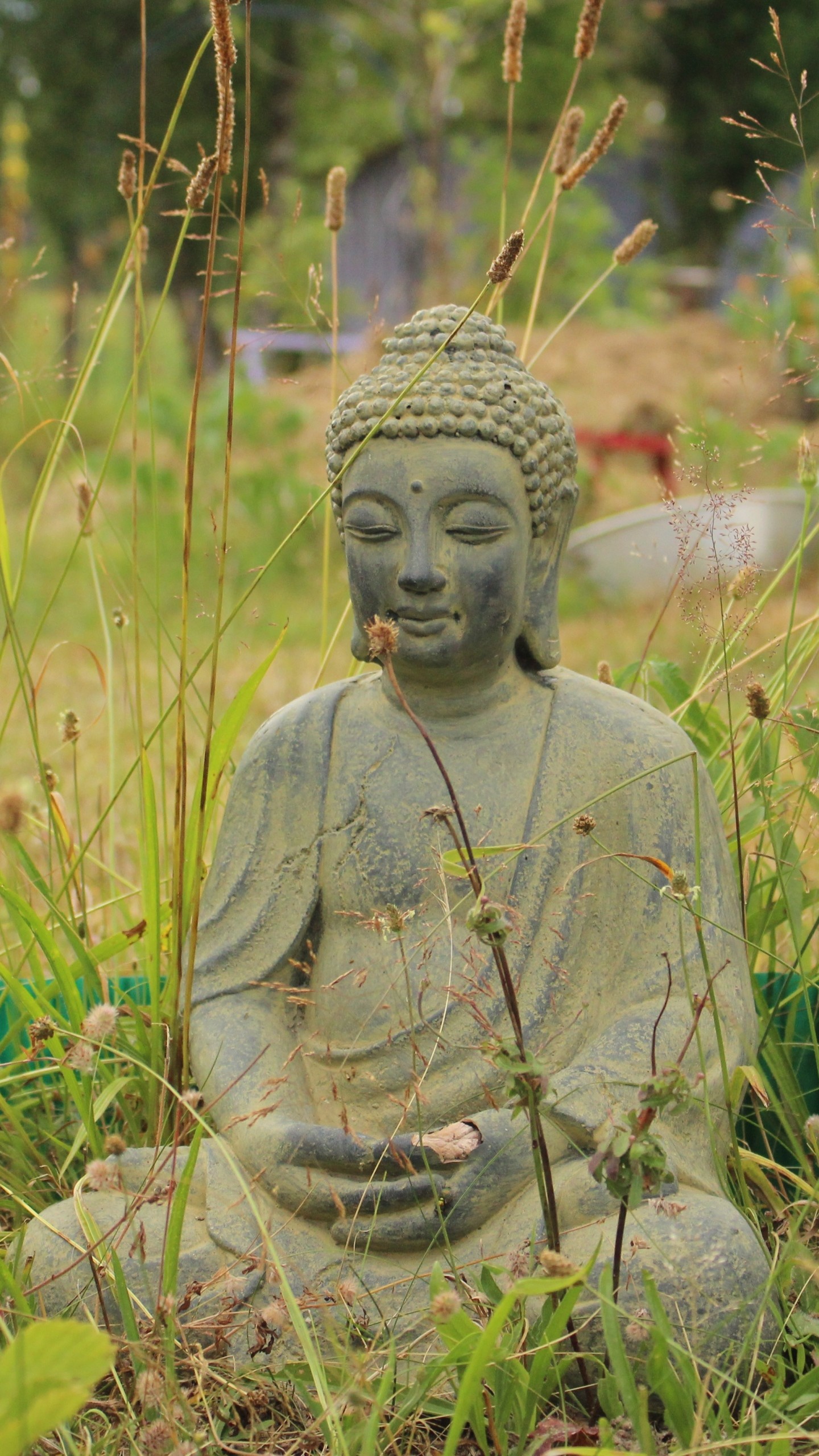 Buddha, Statua in pietra, Giardino, Erba, sfondo per iPhone e Android