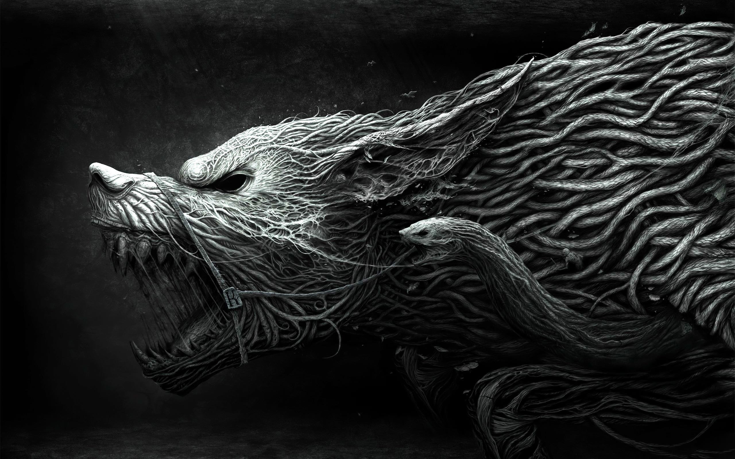 Lupo, Arte in bianco e nero, Illustrazione, Fauci, 2K, sfondo Windows 11