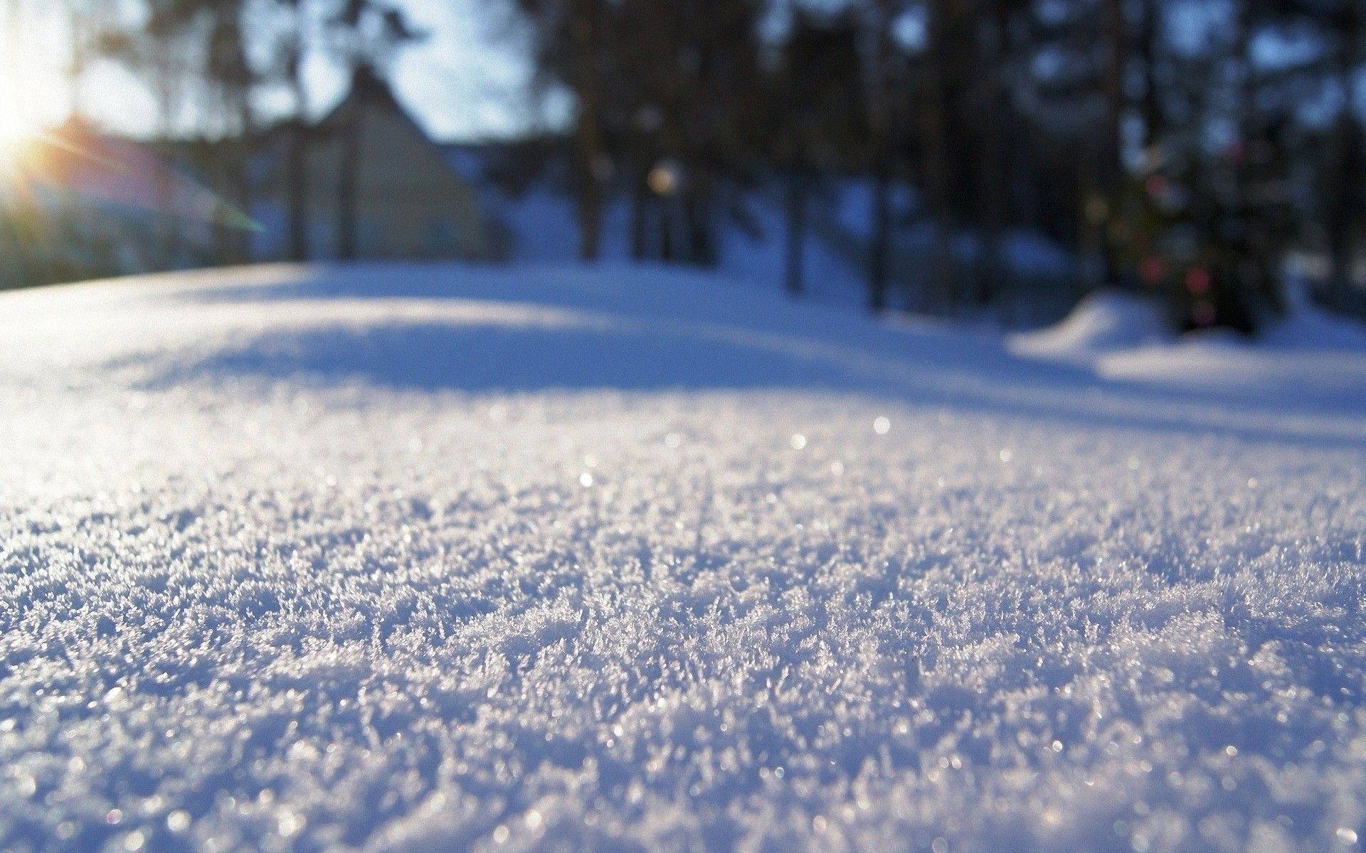 Neve, Primo piano, Sole, Bokeh, Full HD, sfondo per PC