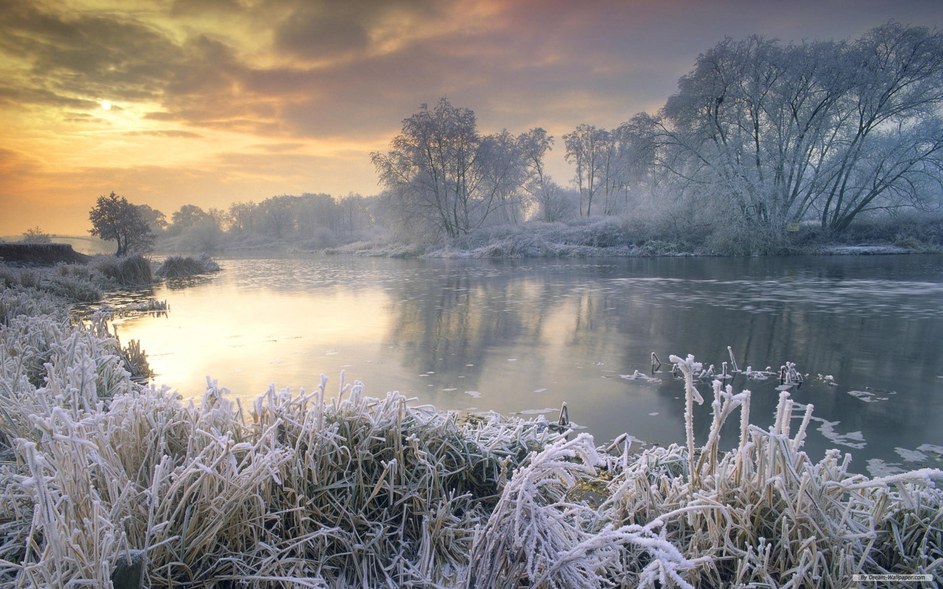 Fiume, Brina, Erba ghiacciata, Alba, Nebbia, Full HD, sfondo per PC