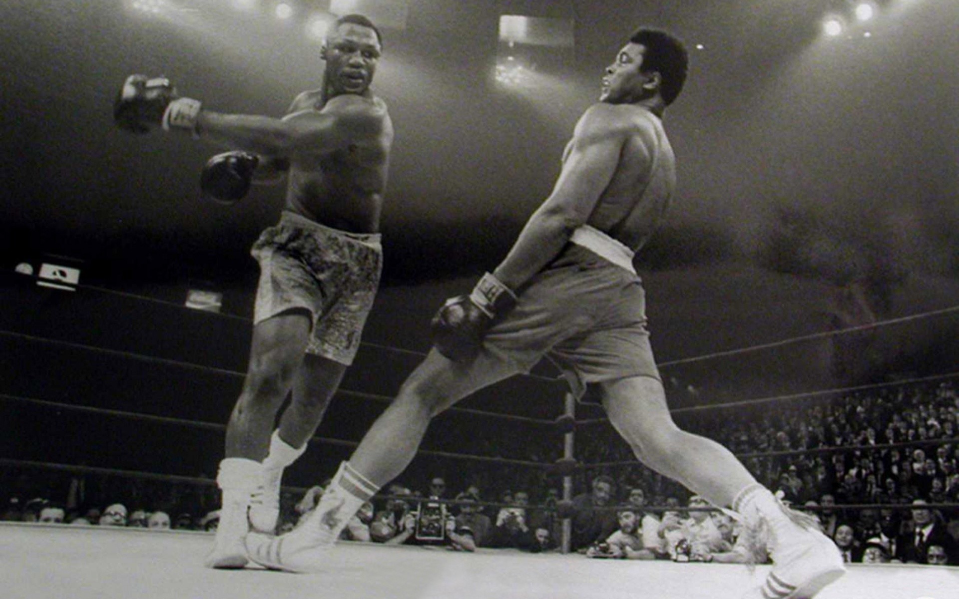 Muhammad Ali, Joe Frazier, Incontro di pugilato, Ring, 16:10 Full HD, sfondo widescreen