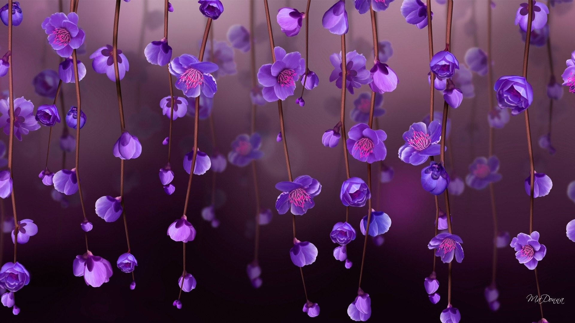 Fiori viola, Fiori pendenti, Viola, Full HD 1080p, sfondo desktop