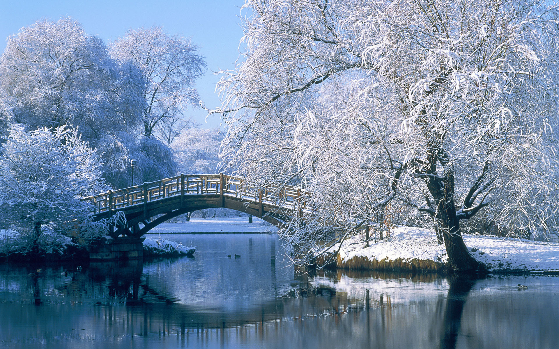 Ponte, Alberi innevati, Lago, Brina, Full HD, sfondo per PC e portatile