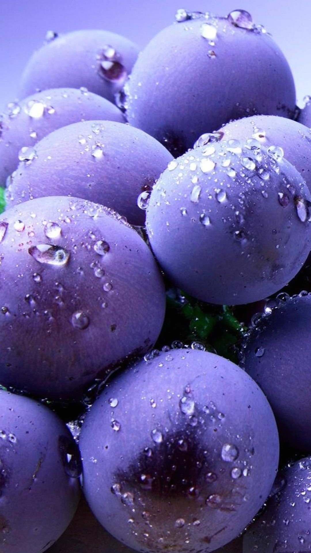Uva, Gocce d'acqua, Viola, Primo piano, Frutta, sfondo Galaxy S4 Full HD
