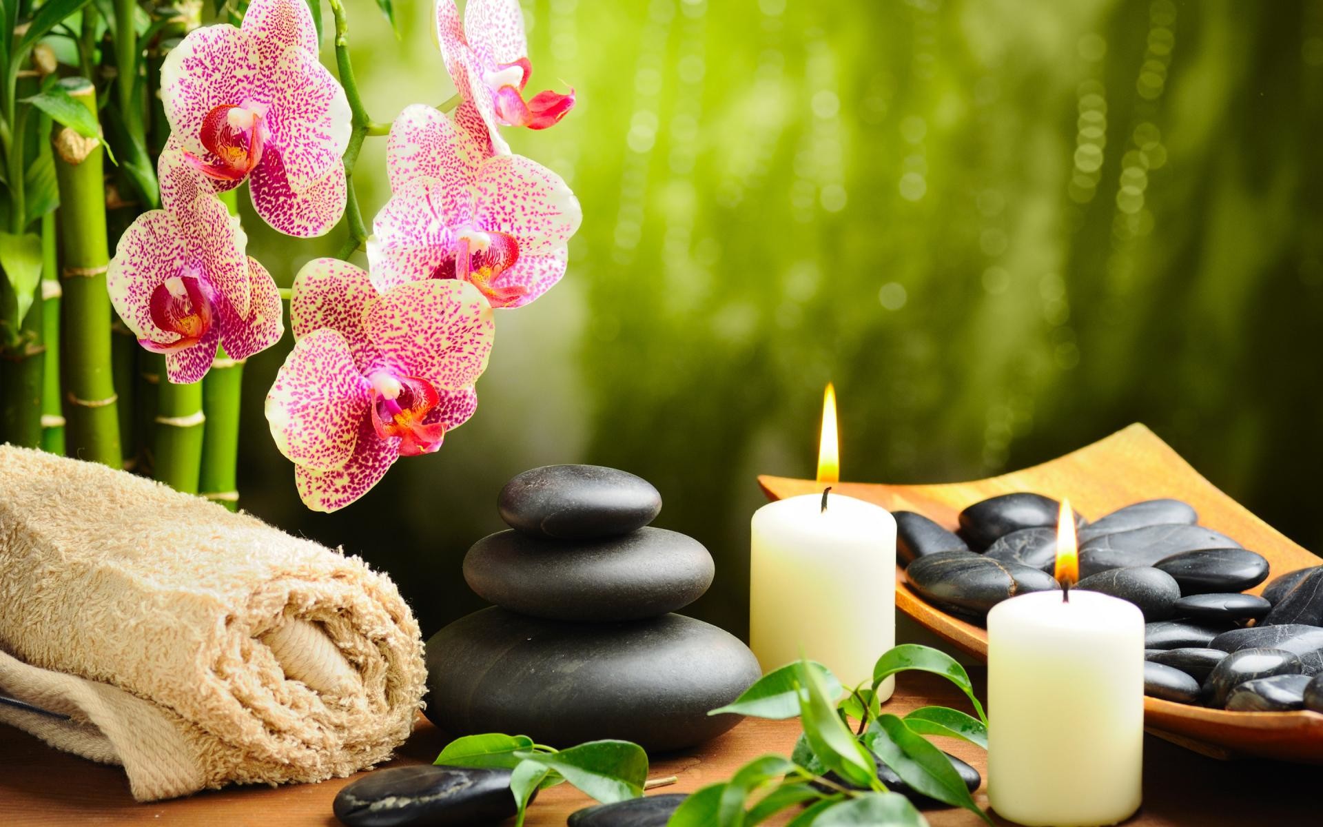 Orchidee, Spa, Candele, Pietre zen, Bambù, 1920x1200, wallpaper desktop