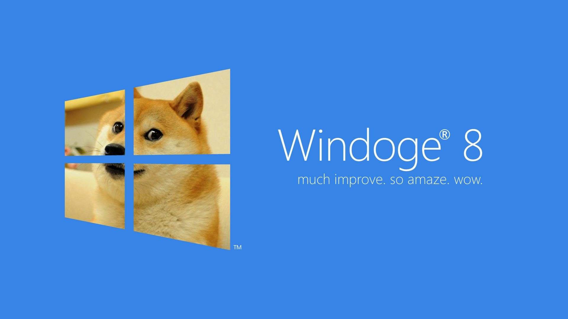 Windoge 8, Doge, Windows 8, Blu, Full HD 1080p, sfondo desktop