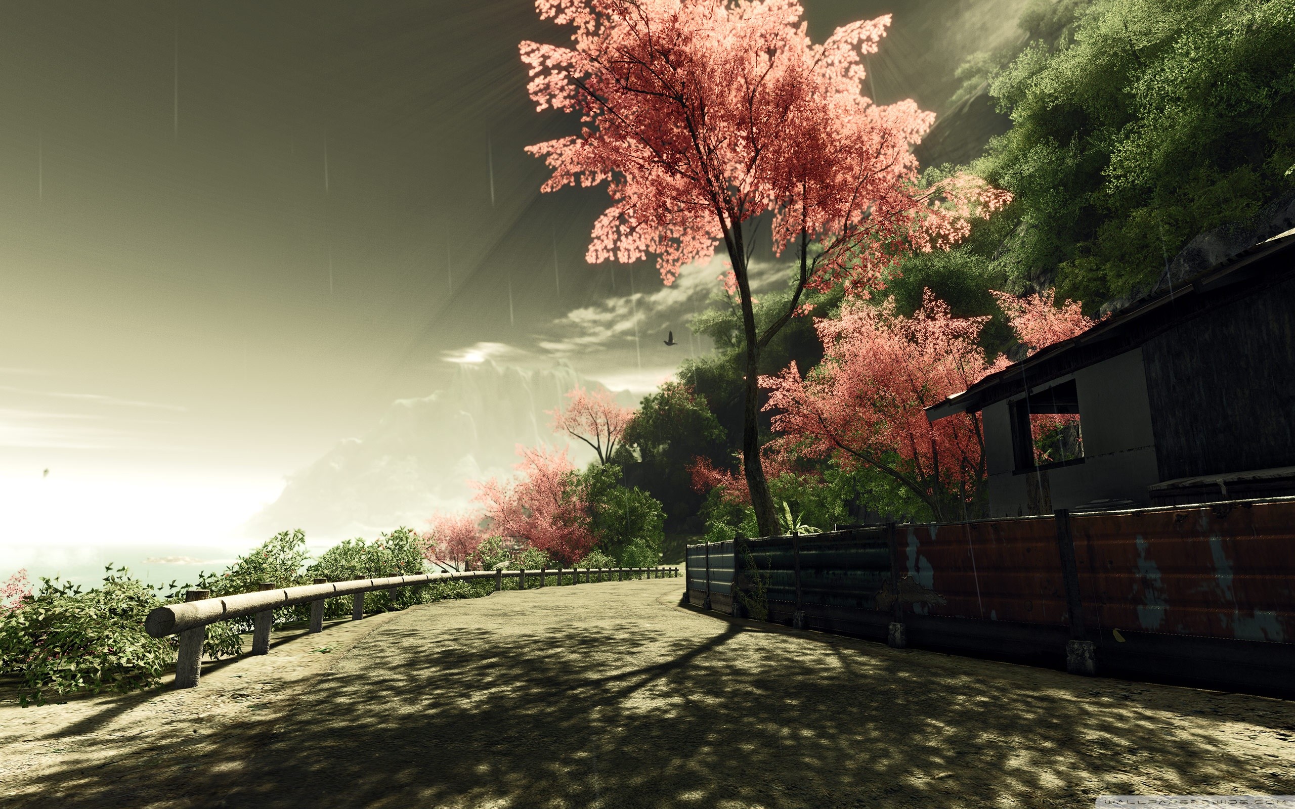 Ciliegio, Strada, Casa giapponese, Rendering 3D, 2560x1600, sfondo MacBook Pro