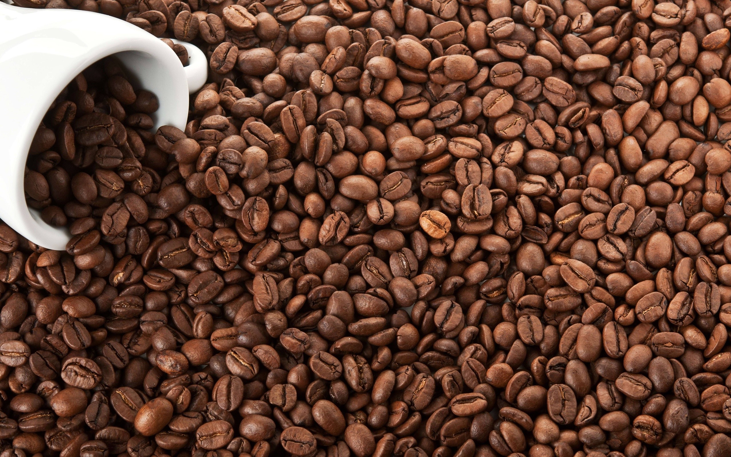 Chicchi di caffè, Tazza rovesciata, Caffè tostato, 2K, sfondo per PC