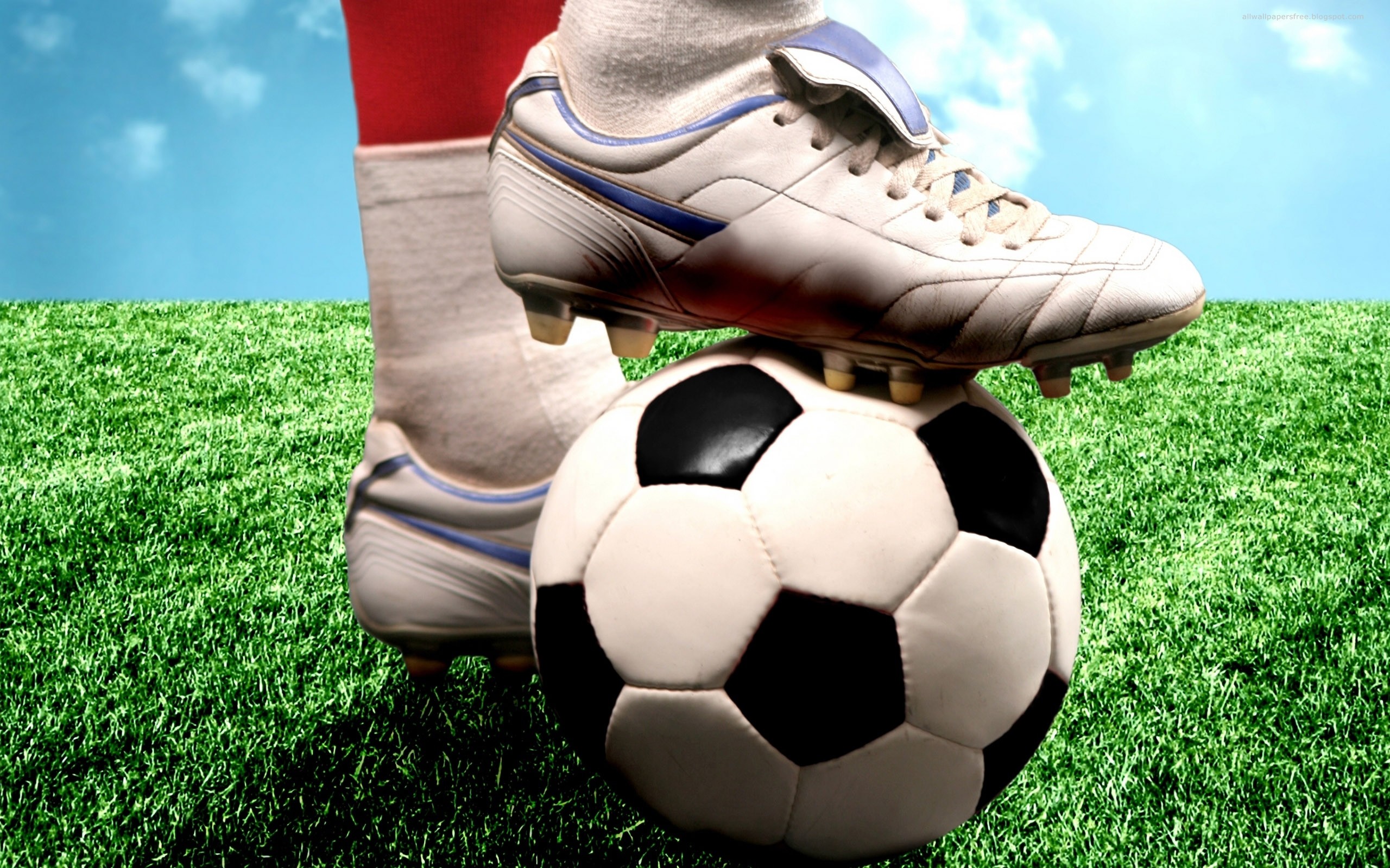 Scarpa da calcio, Pallone, Erba, Primo piano, 2K 1600p, sfondo desktop