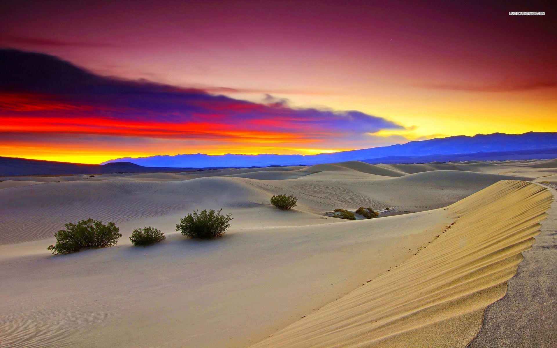 Death Valley, Dune di sabbia, Tramonto, Cespugli, 16:10 Full HD, sfondo widescreen