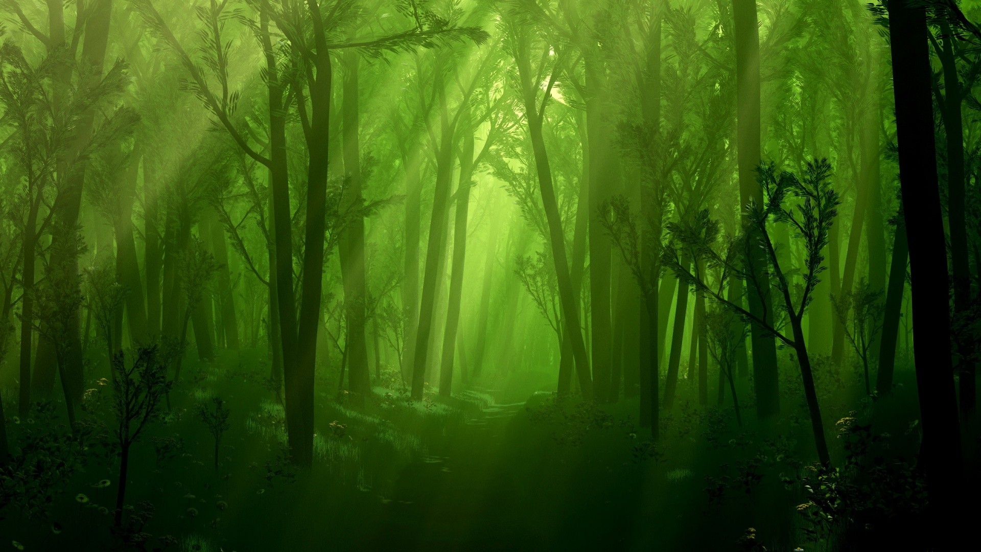 Foresta verde, Raggi di sole, Nebbia, Full HD 1080p, sfondo desktop