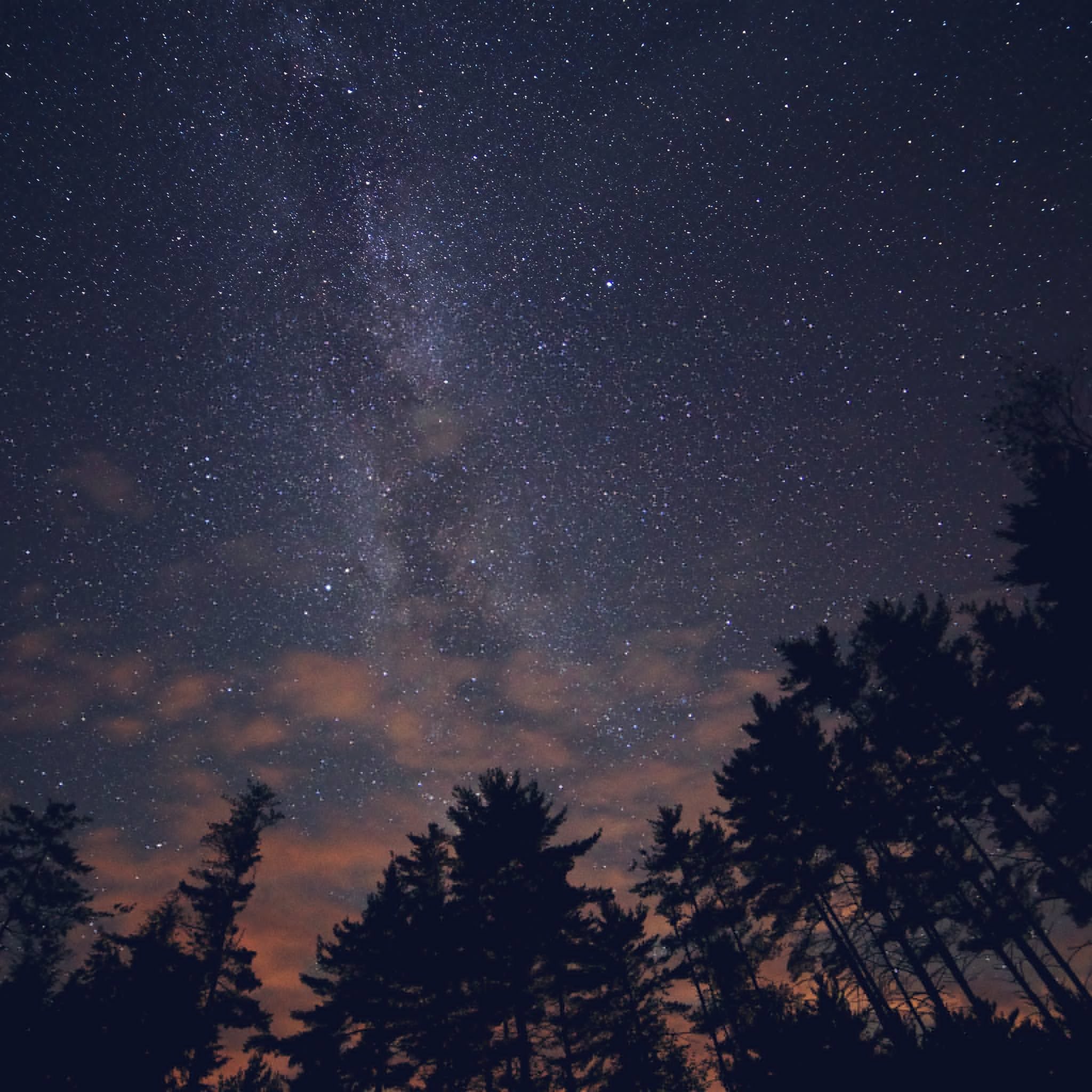 Via Lattea, Alberi, Silhouette, sfondo per iPad e tablet