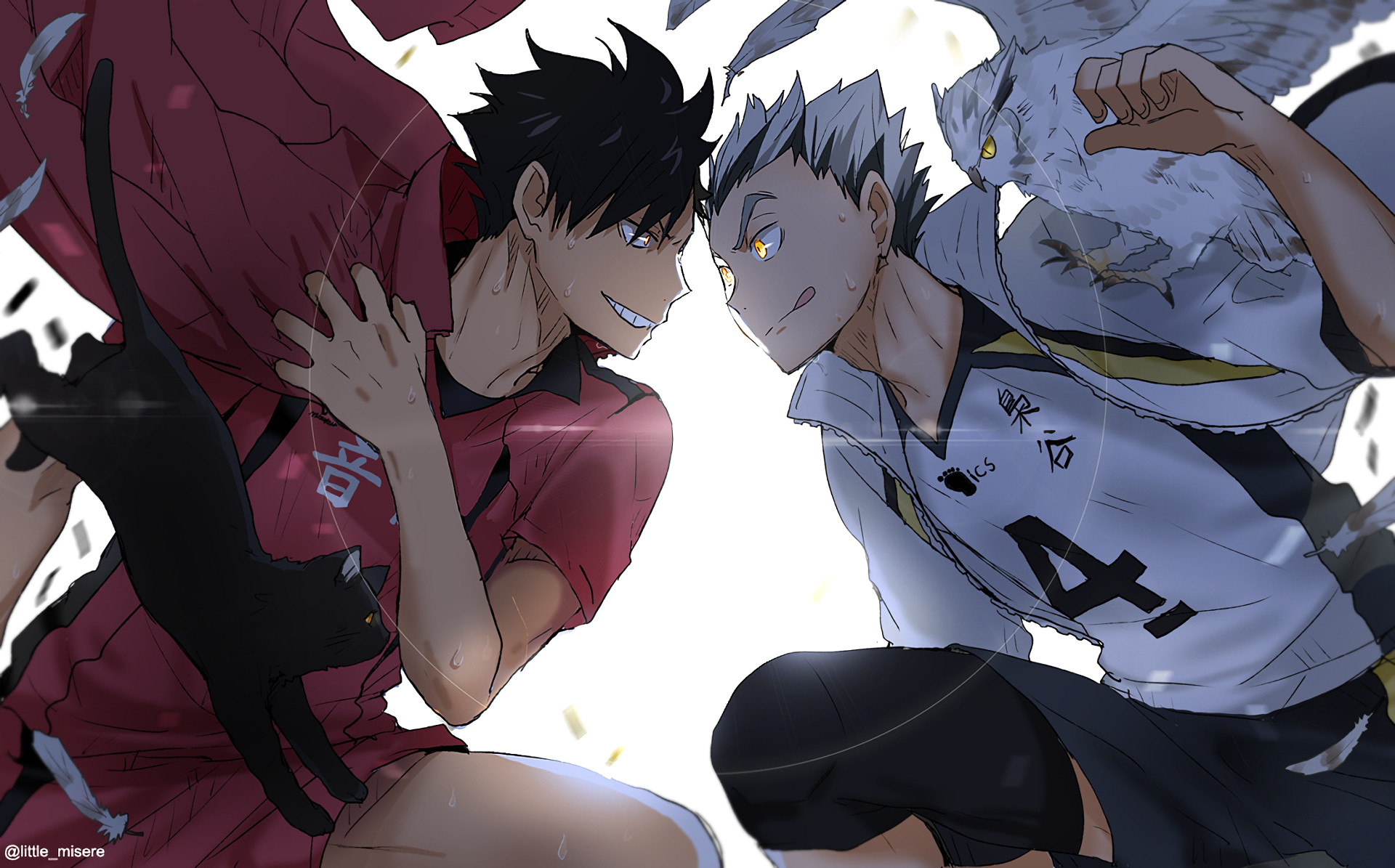 Tetsuro Kuroo, Kotaro Bokuto, Haikyu!!, Nekoma, Fukurodani, 16:10 Full HD, sfondo widescreen