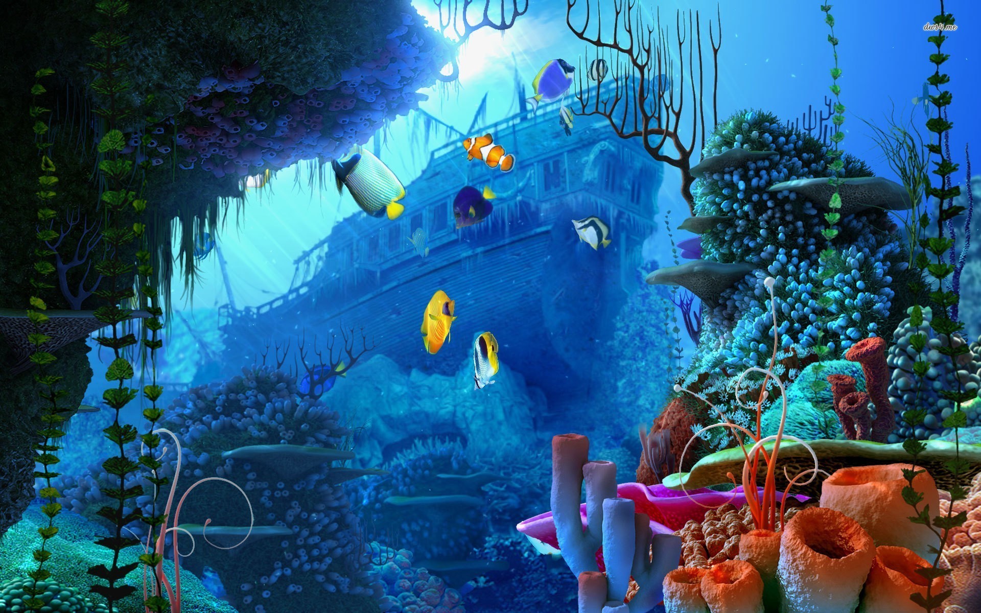 Relitto, Nave affondata, Pesci tropicali, Coralli, Fantasy, Full HD, sfondo per PC e portatile