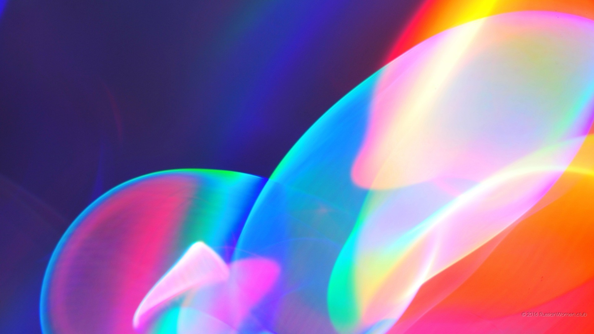 Astratto, Forme fluide, Colori vivaci, Full HD, sfondo Windows 11
