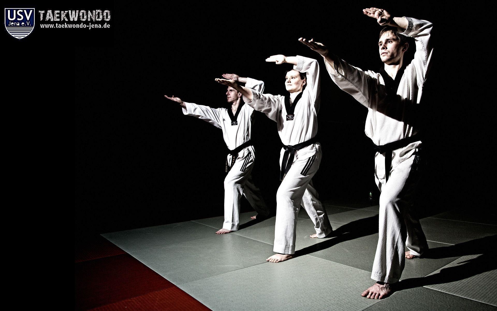 Taekwondo, Poomsae, Cintura nera, Allenamento, Full HD, sfondo desktop