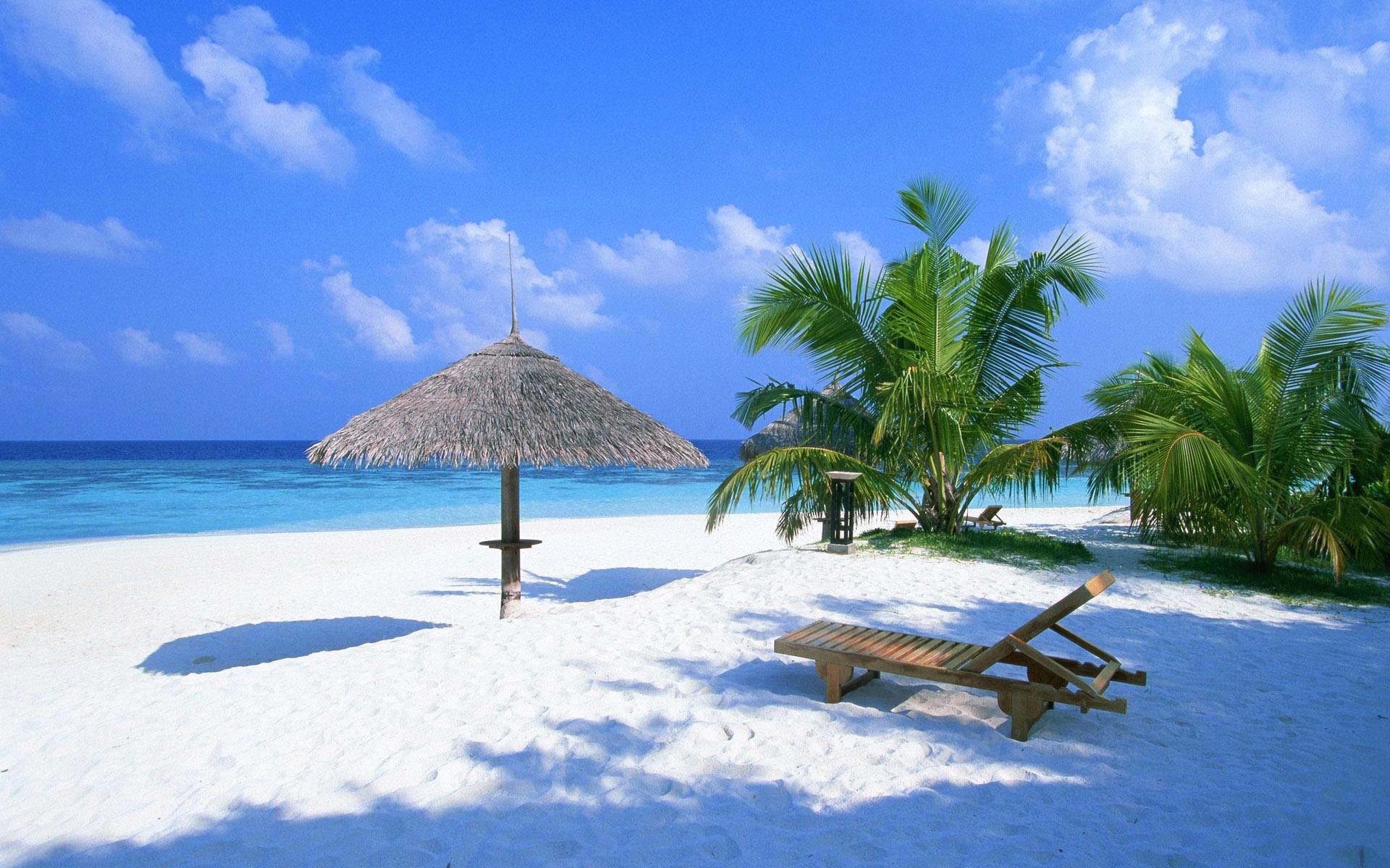 Ombrellone di paglia, Lettino, Palme, Spiaggia bianca, 16:10 Full HD, wallpaper widescreen