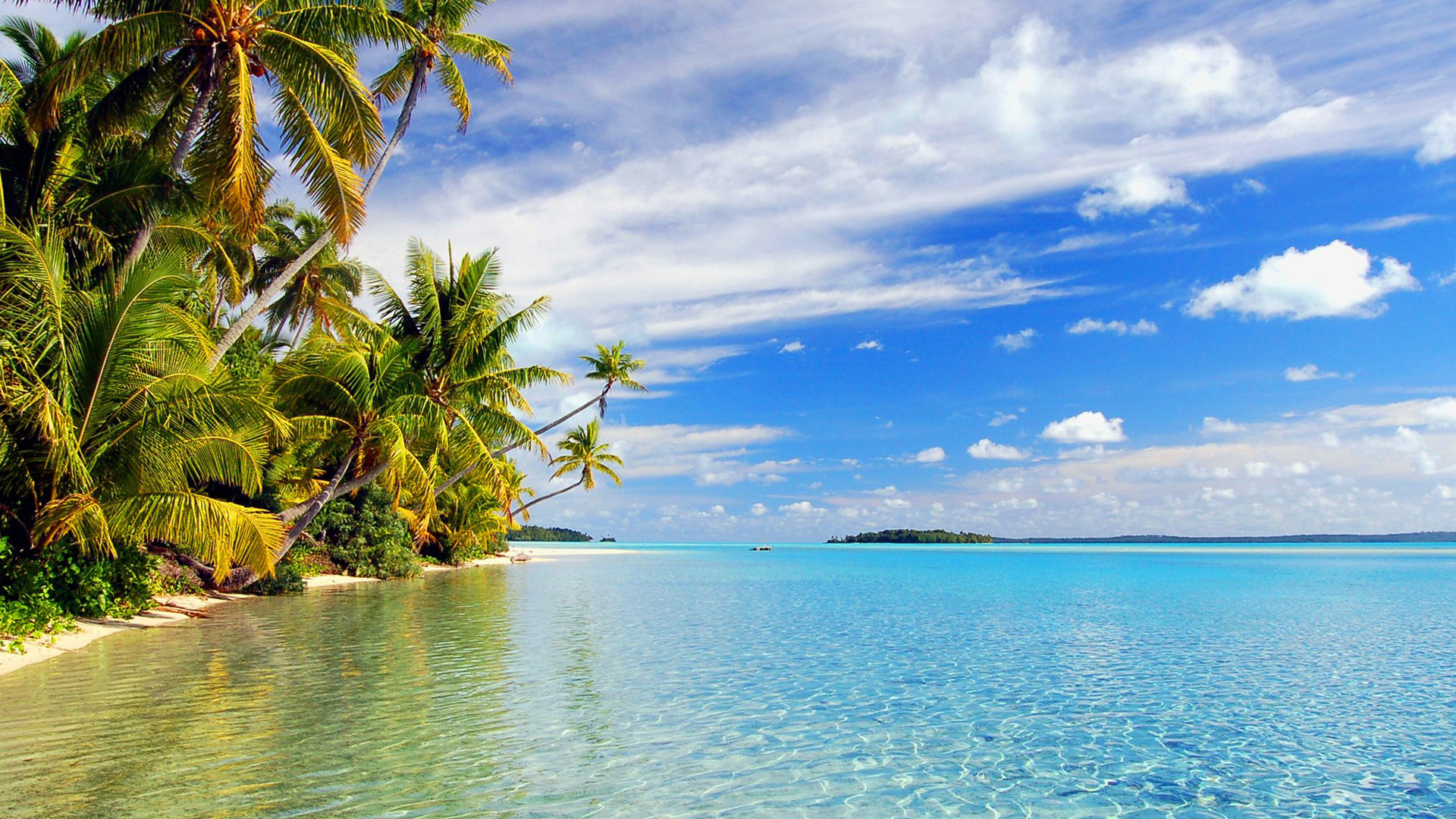 Hawaii, Spiaggia tropicale, Palme, Acqua turchese, 16:9 Full HD, wallpaper widescreen