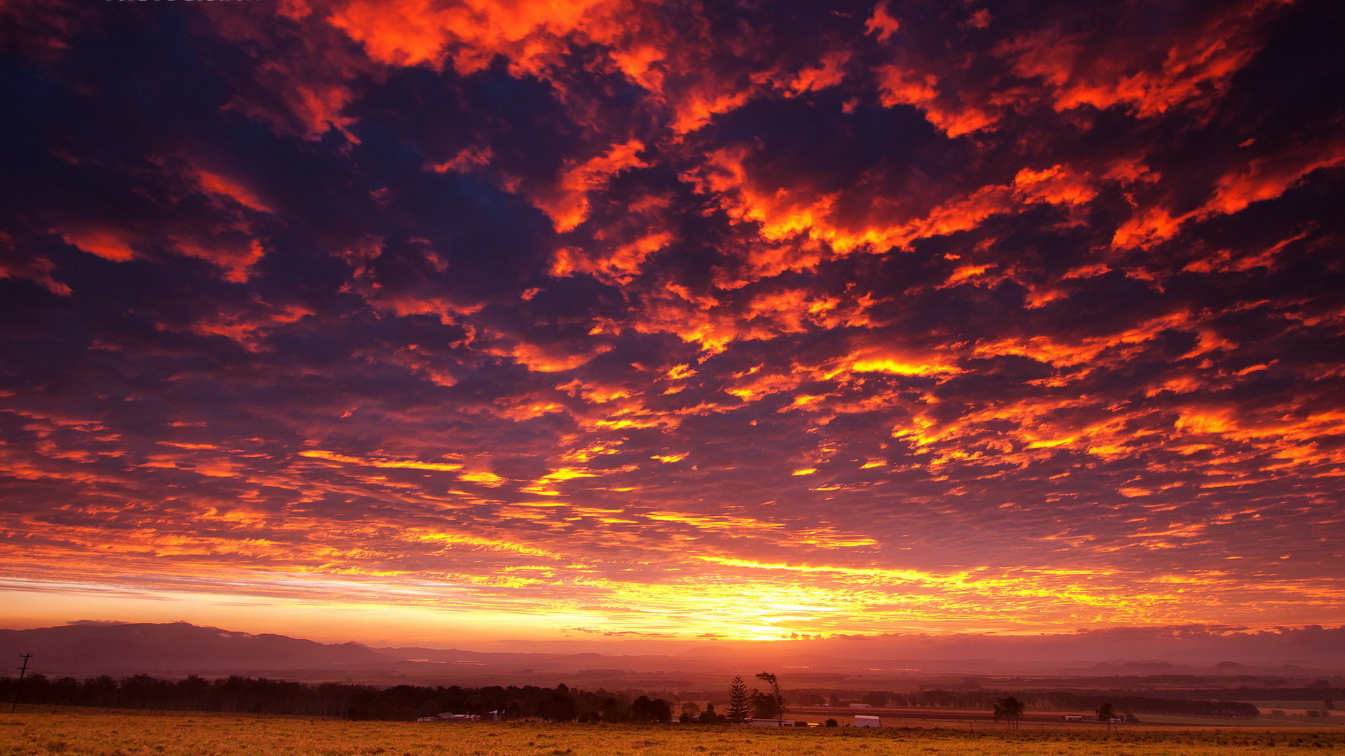 Cielo al tramonto, Nuvole infuocate, Rosso, Viola, Full HD, wallpaper desktop