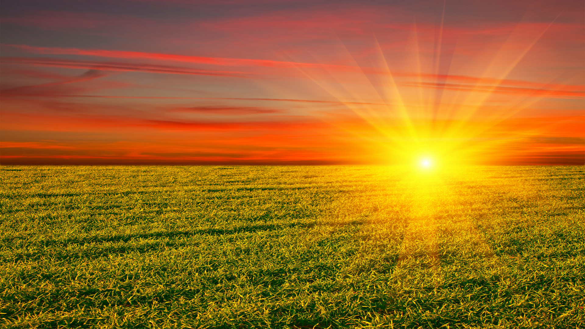 Sole, Campo, Tramonto, Raggi di sole, Full HD, wallpaper desktop