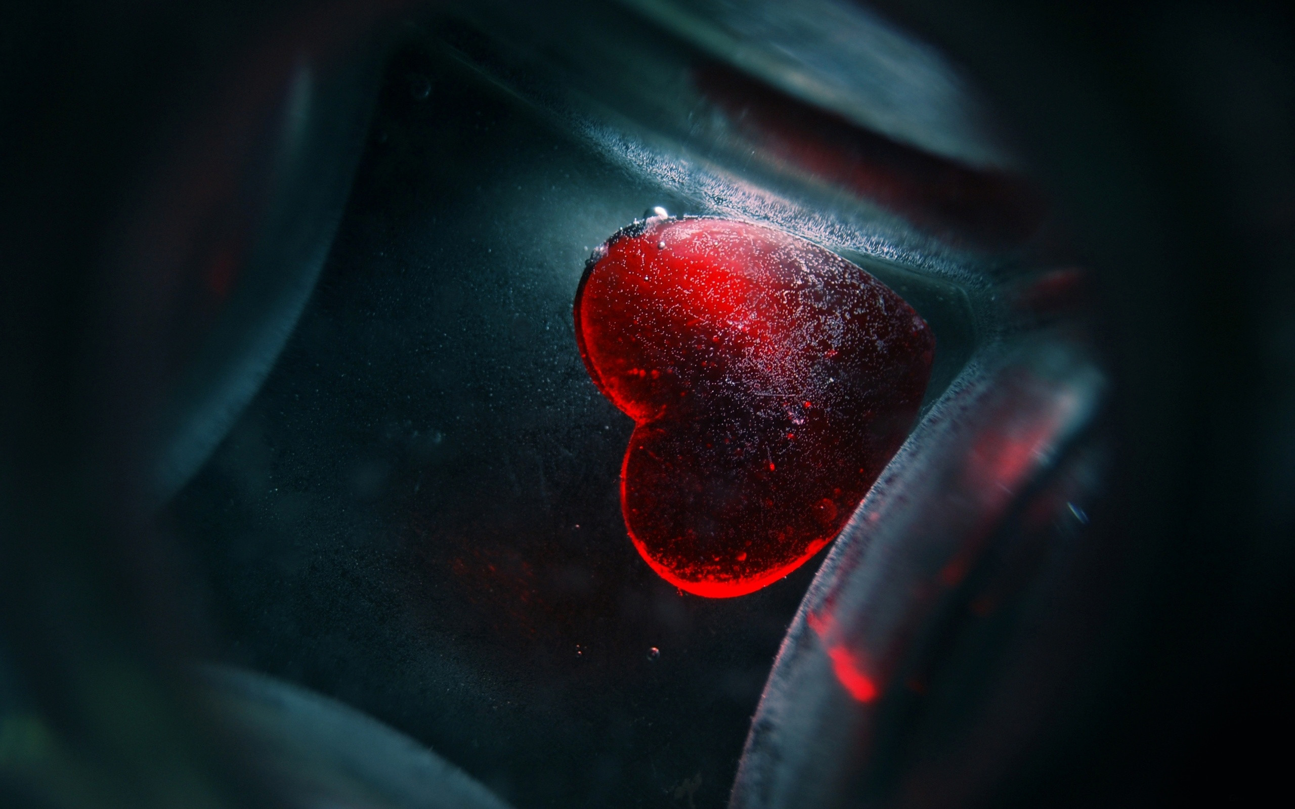 Cuore rosso, Macro, Scuro, 2560x1600, immagine di sfondo