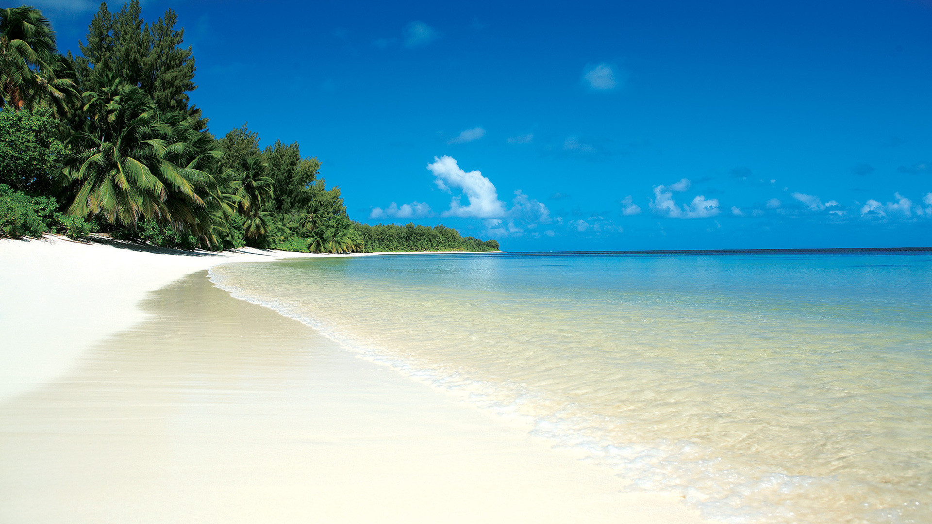 Mare, Spiaggia tropicale, Sabbia bianca, Palme, Acqua turchese, Full HD 1080p, sfondo desktop