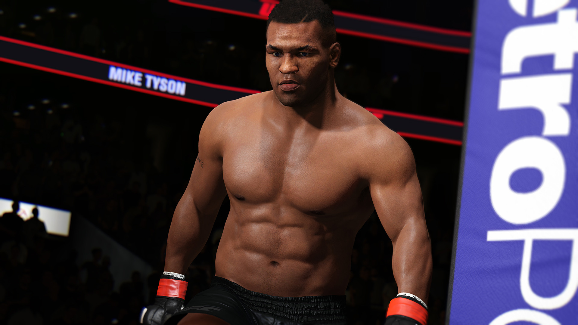 Mike Tyson, Fight Night Champion, Ring, Videogioco, Full HD 1080p, sfondo desktop