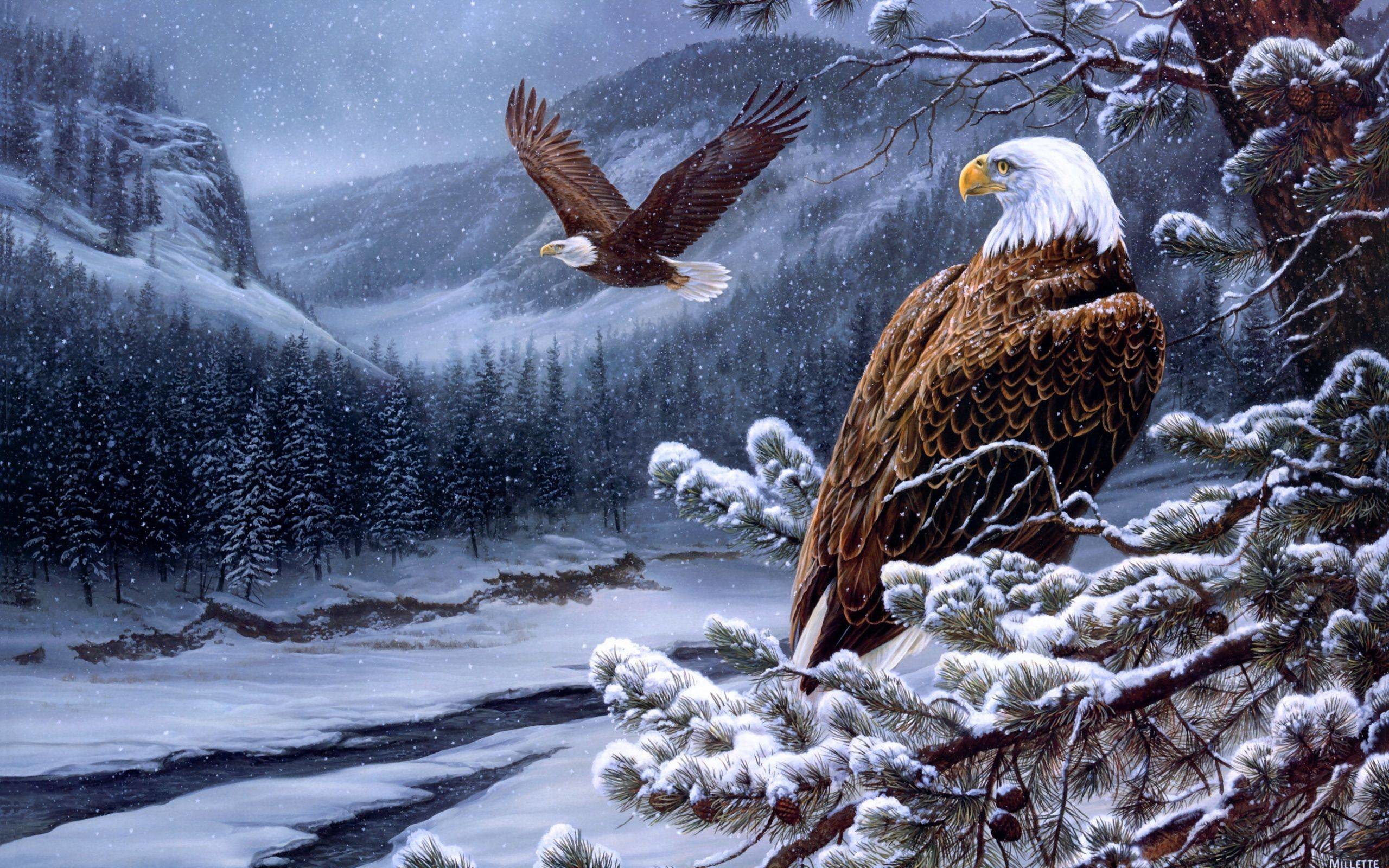 Aquila calva, Inverno, Pittura, Bosco innevato, 2560x1600, sfondo per PC