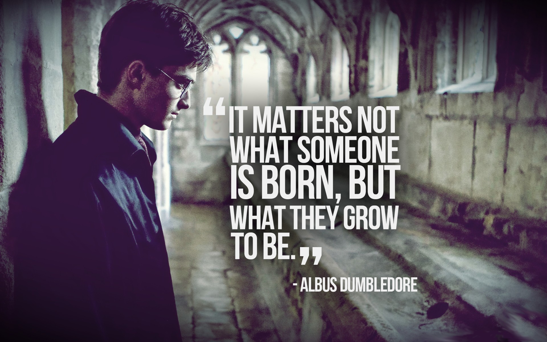 Harry Potter, Daniel Radcliffe, Albus Silente, Citazione, 16:10 Full HD, sfondo widescreen