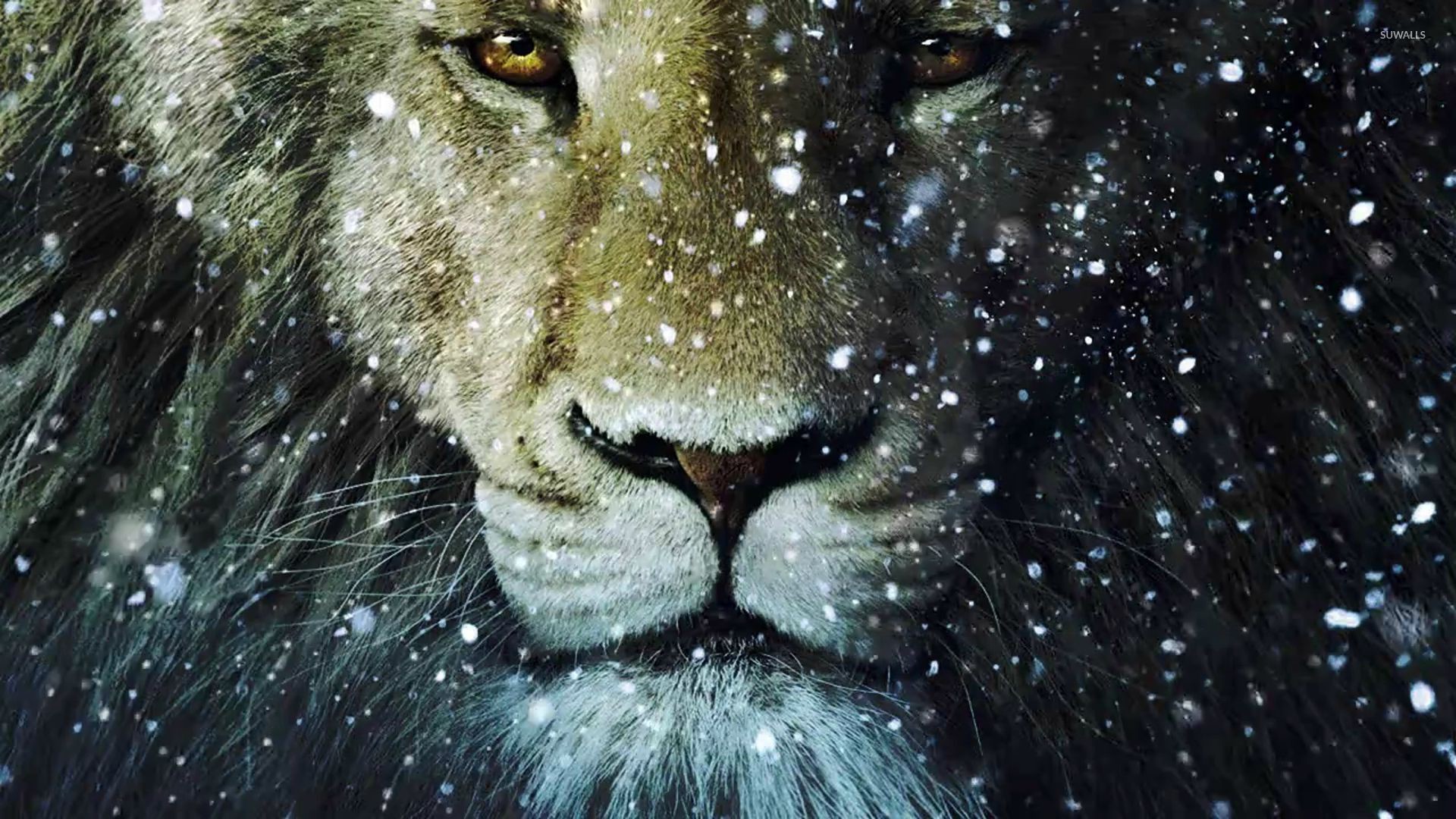 Leone, Neve, Primo piano, Arte digitale, Full HD 1080p, sfondo desktop
