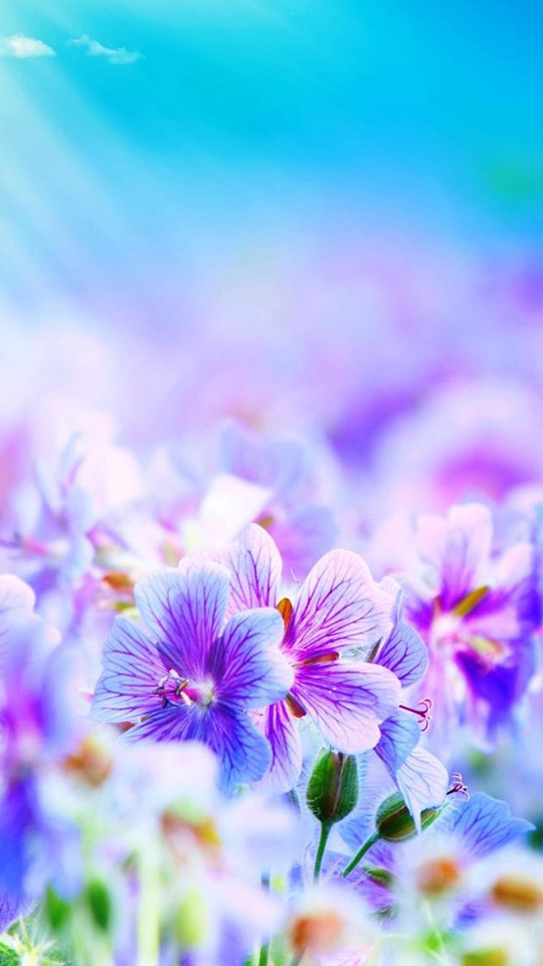 Fiori viola, Campo di fiori, Bokeh, Pastello, sfondo schermata di blocco iPhone 6S
