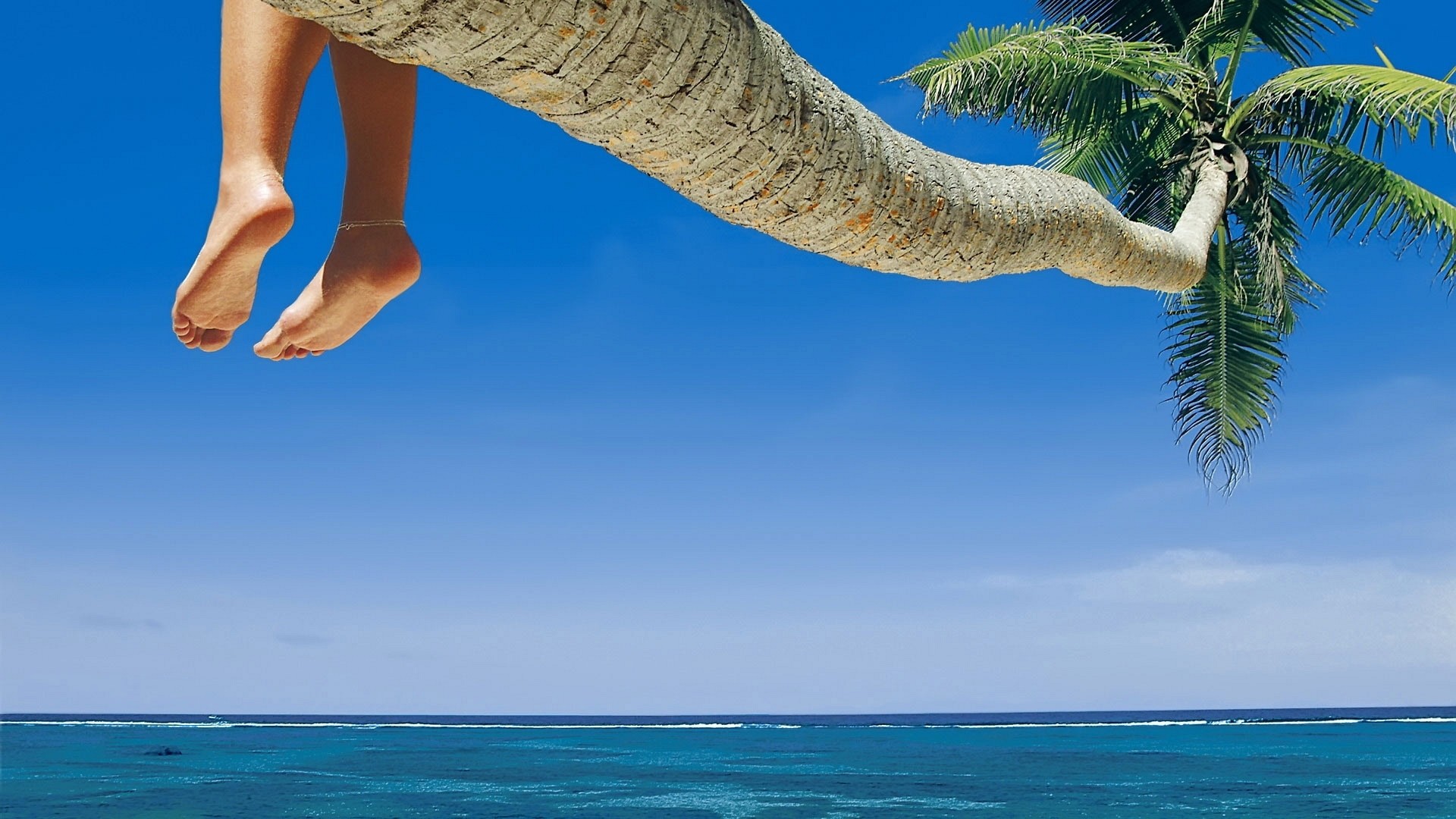 Palma, Piedi, Mare tropicale, Cielo blu, 1920x1080, immagine di sfondo
