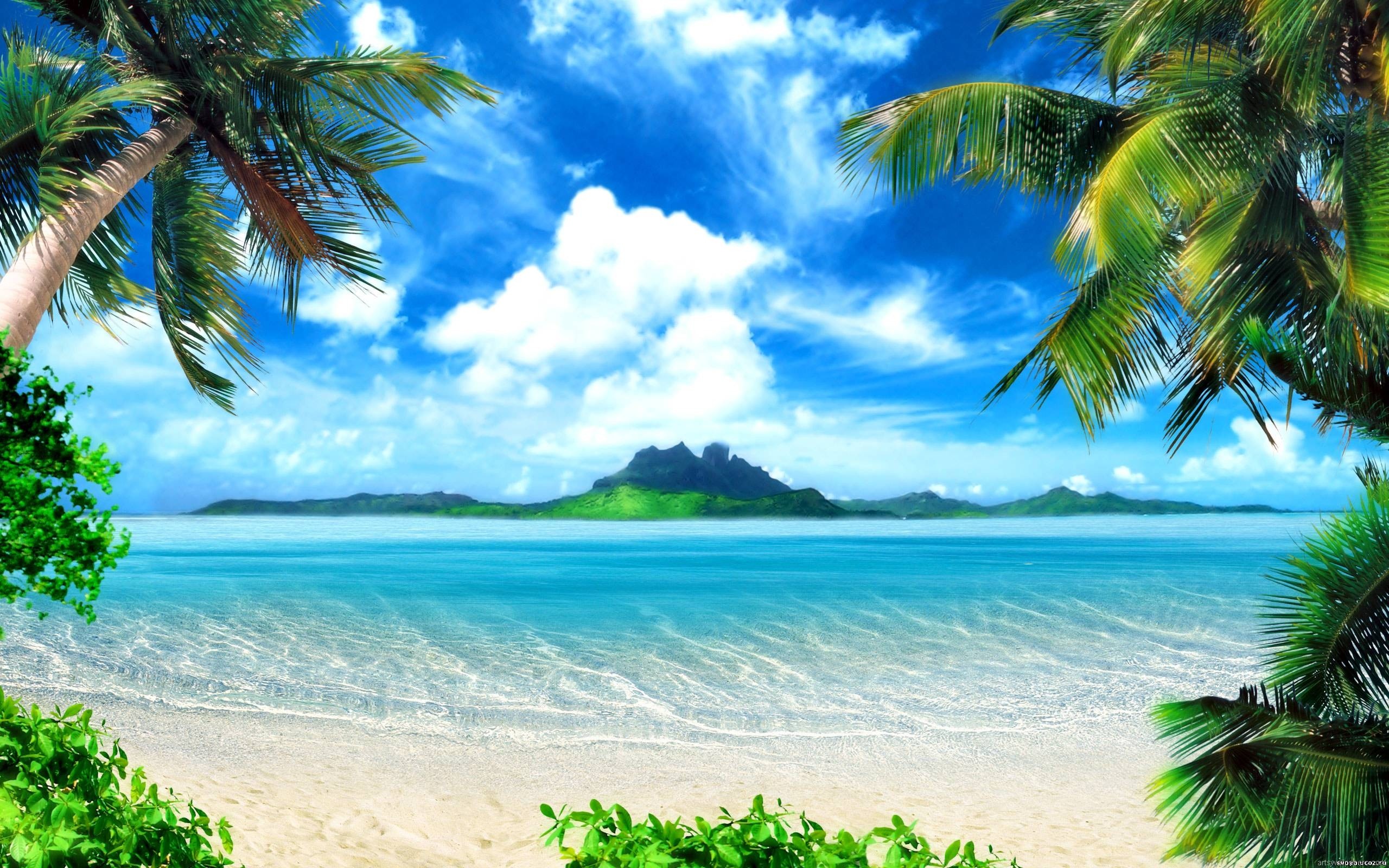 Palme, Laguna, Isola tropicale, 16:10 2K, sfondo widescreen