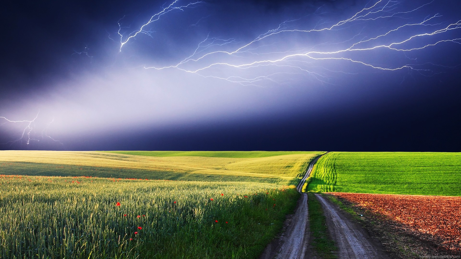 Fulmini, Campo di grano, Strada sterrata, Temporale, Full HD, wallpaper per computer
