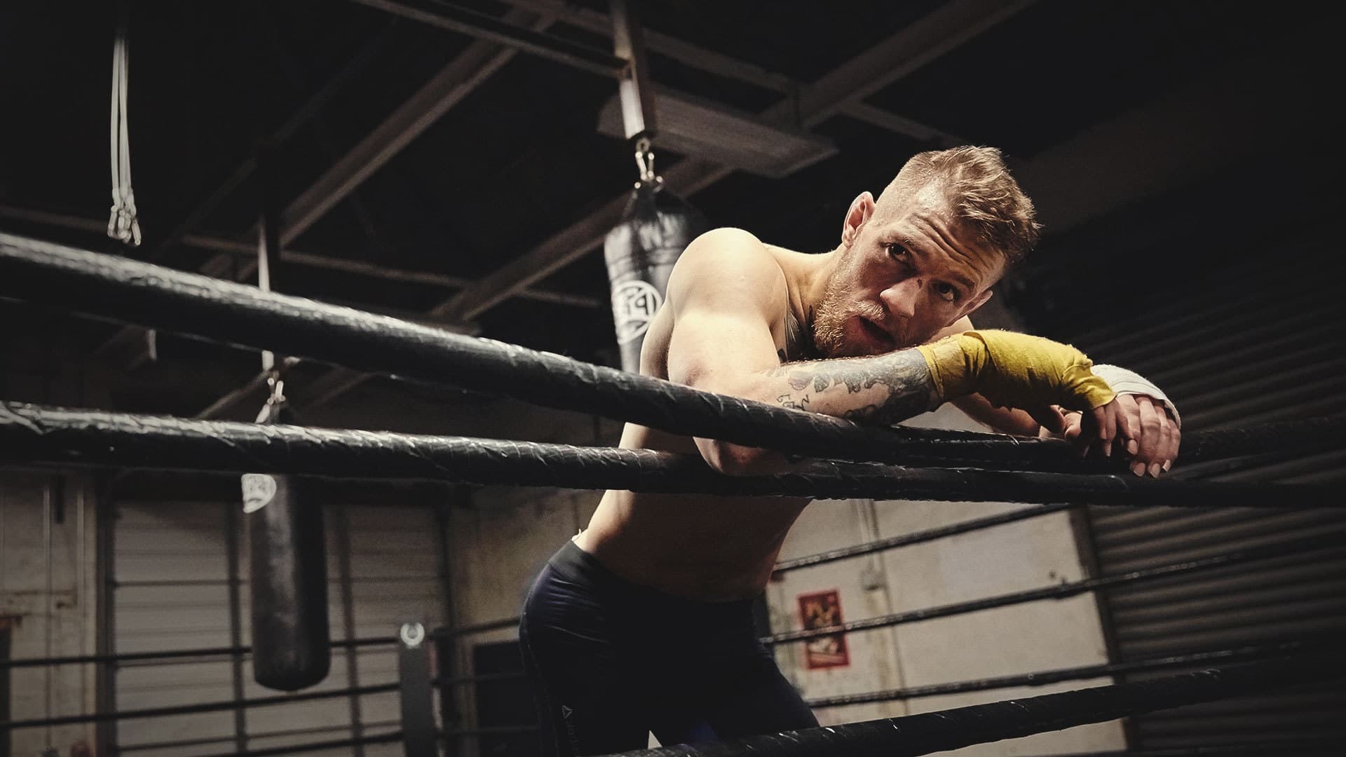 Conor McGregor, Ring, Palestra, Allenamento, Full HD 1080p, sfondo desktop