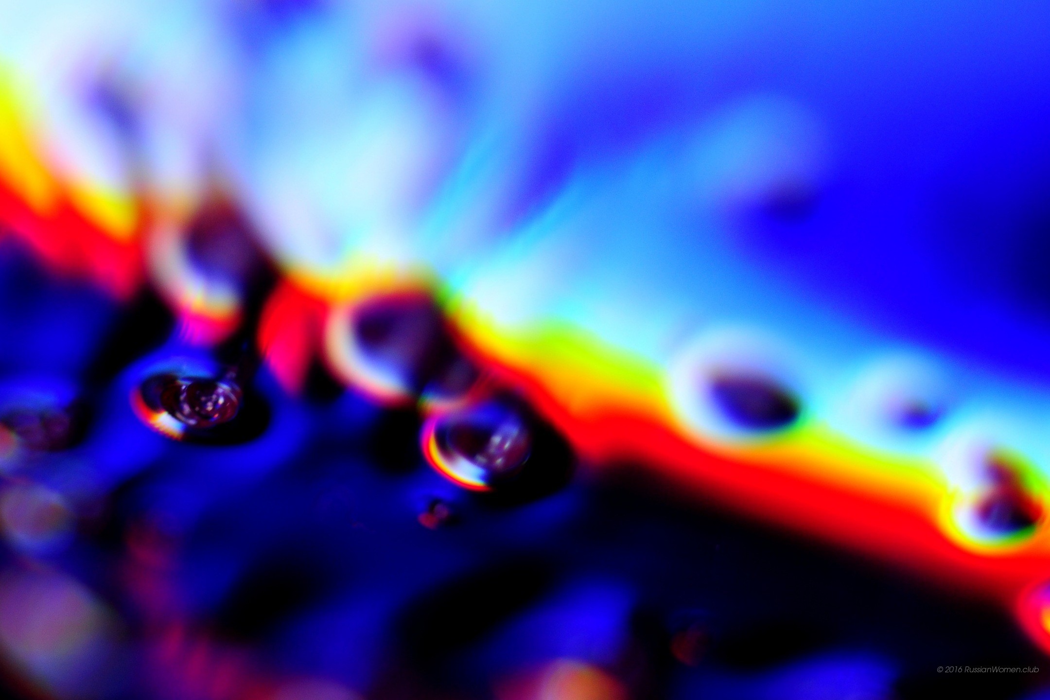 Gocce, Blu, Rosso, Astratto, Macro, sfondo per tablet