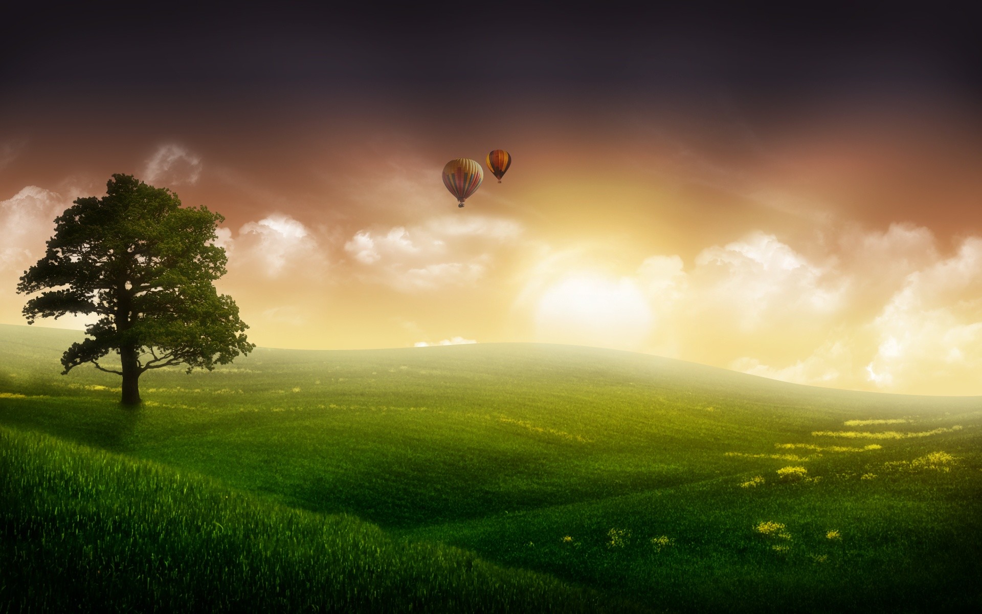 Albero solitario, Mongolfiere, Prato, Tramonto, Full HD, sfondo per portatile